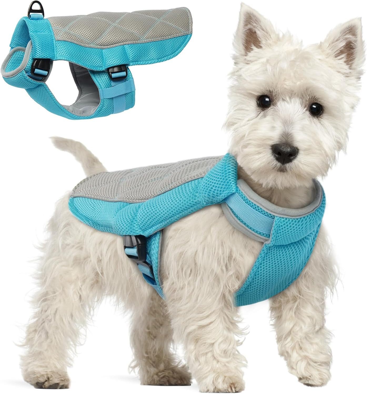 FELIXLEO Hundeweste Kühlweste Hund Atmungsaktiv mit D-Ring Sommer Kühlmantel XS Blau.