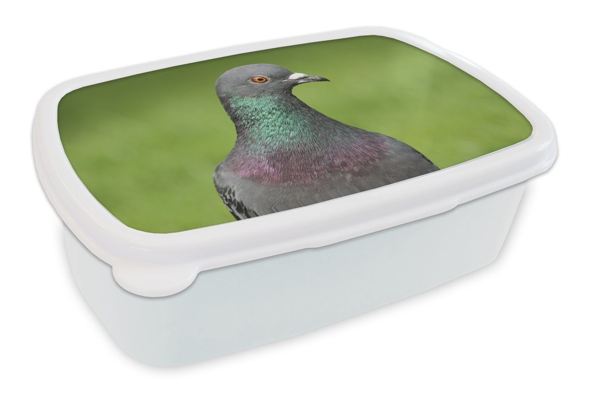 MuchoWow Lunchbox Eine schöne Nahaufnahme einer Taube im grünen Gras, Kunststoff, (2-tlg), Brotbox für Kinder und Erwachsene, Brotdose, für Jungs und Mädchen weiß