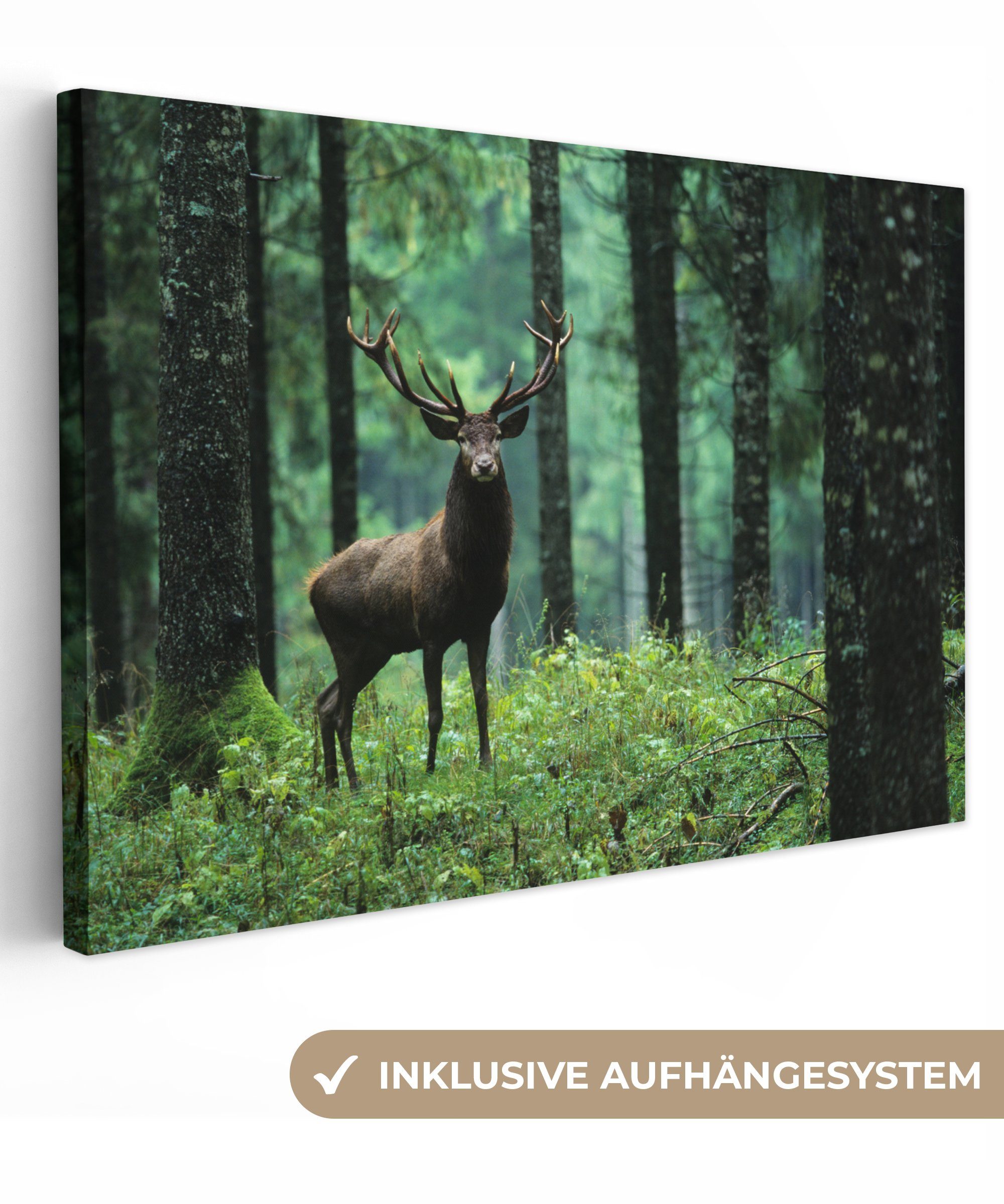 OneMillionCanvasses® Leinwandbild Hirsche - Wald - Bäume - Tiere - Natur, Fotodruck (1 St), Leinwand Bilder Klein, Wand Dekoration Aesthetic 30x20 cm