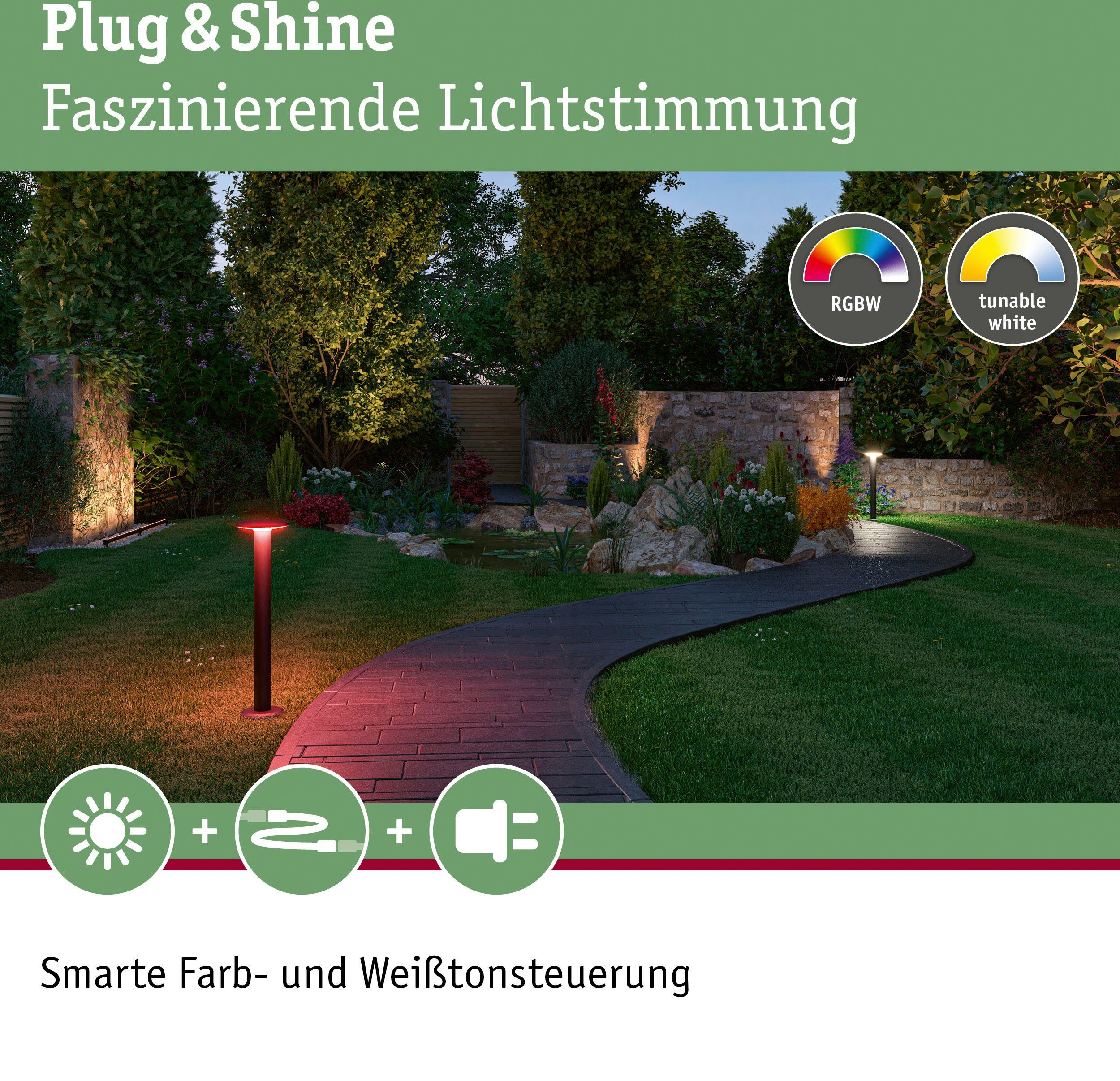 Plug LED Pollerleuchte RGBW Outdoor & ZigBee, RGBW Shine LED Farbwechsel, fest IP44, IP44 Plate Tageslichtweiß, Paulmann integriert,