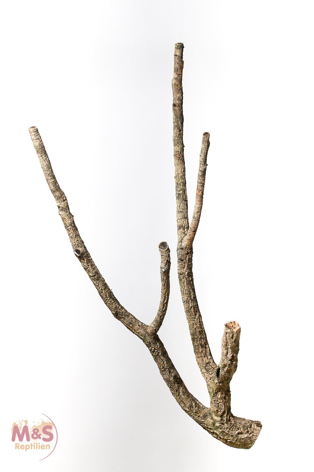 Terrarium Zierkork Tronchos verzweigt- SMALL- ca.50-70 cm