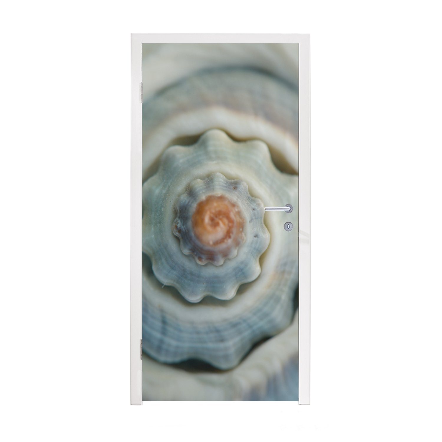 MuchoWow Türtapete Muschel - Spirale - Meer, Matt, bedruckt, (1 St), Fototapete für Tür, Türaufkleber, 75x205 cm