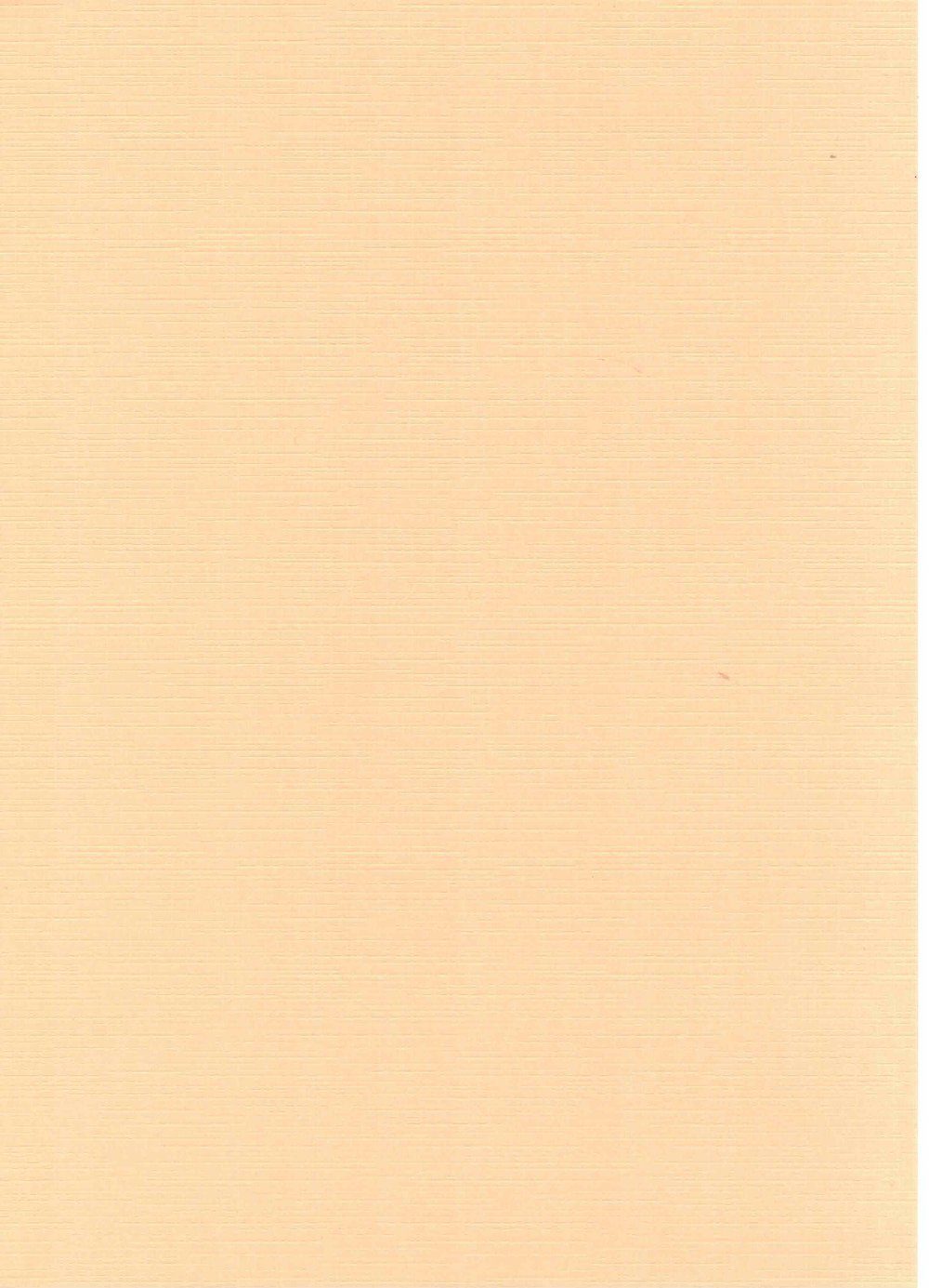 Blatt/Pckg. apricose A4 5 Leinen-Karton 250g/m² HobbyFun Zeichenpapier