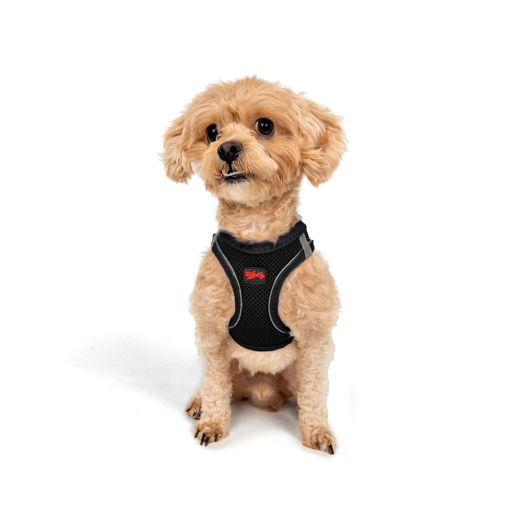 Jumeon Hunde-Geschirr Air Mesh - 3XS-2XS-XS-S GROßE, Strapazierfähig & lang günstig online kaufen