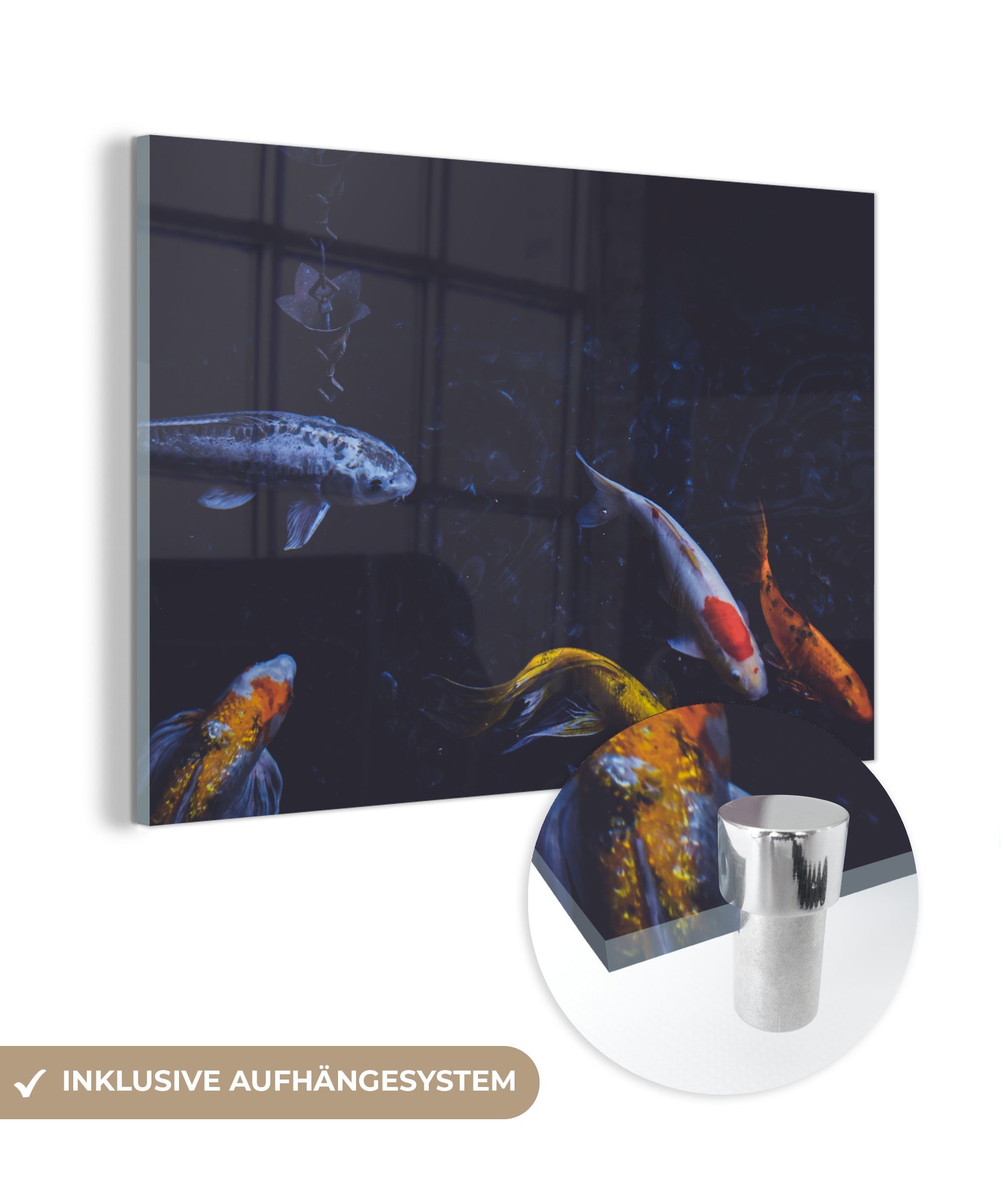 MuchoWow Acrylglasbild Angeln - Karpfen - Orange, (1 St), Acrylglasbilder Wohnzimmer & Schlafzimmer