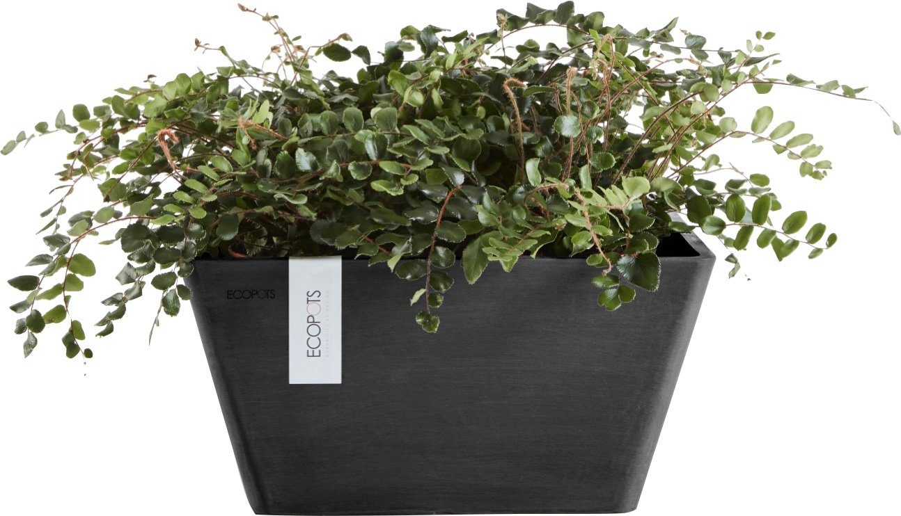 ECOPOTS Blumentopf BERLIN cm Grey, 31x31x15,5 BxTxH: Dark