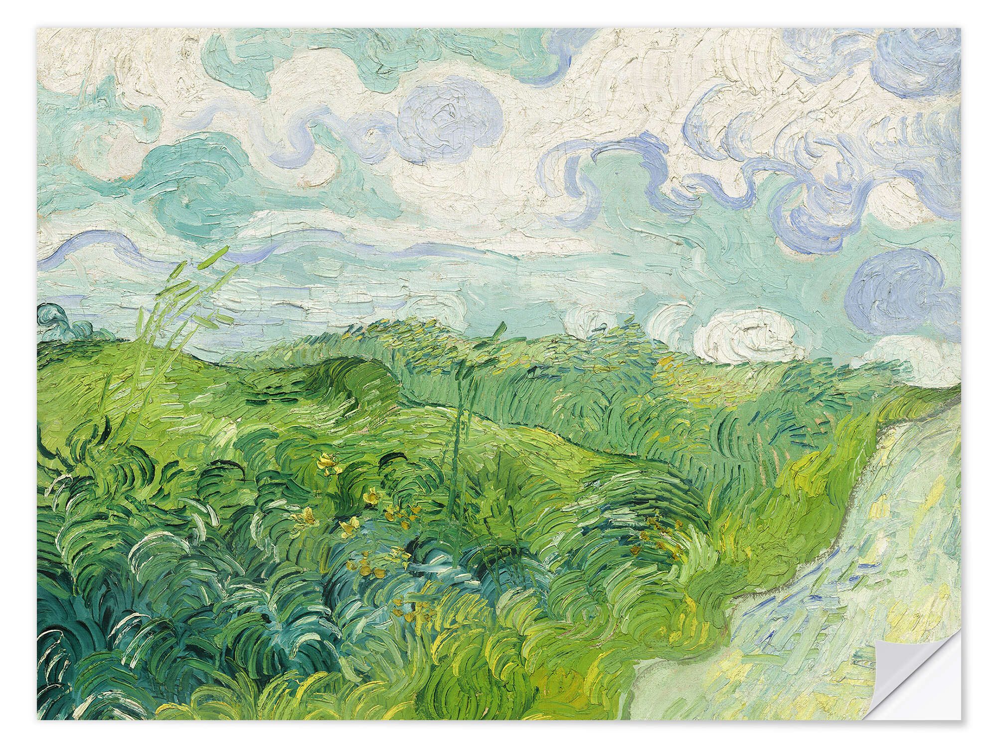 Wandfolie Vincent van Gogh
