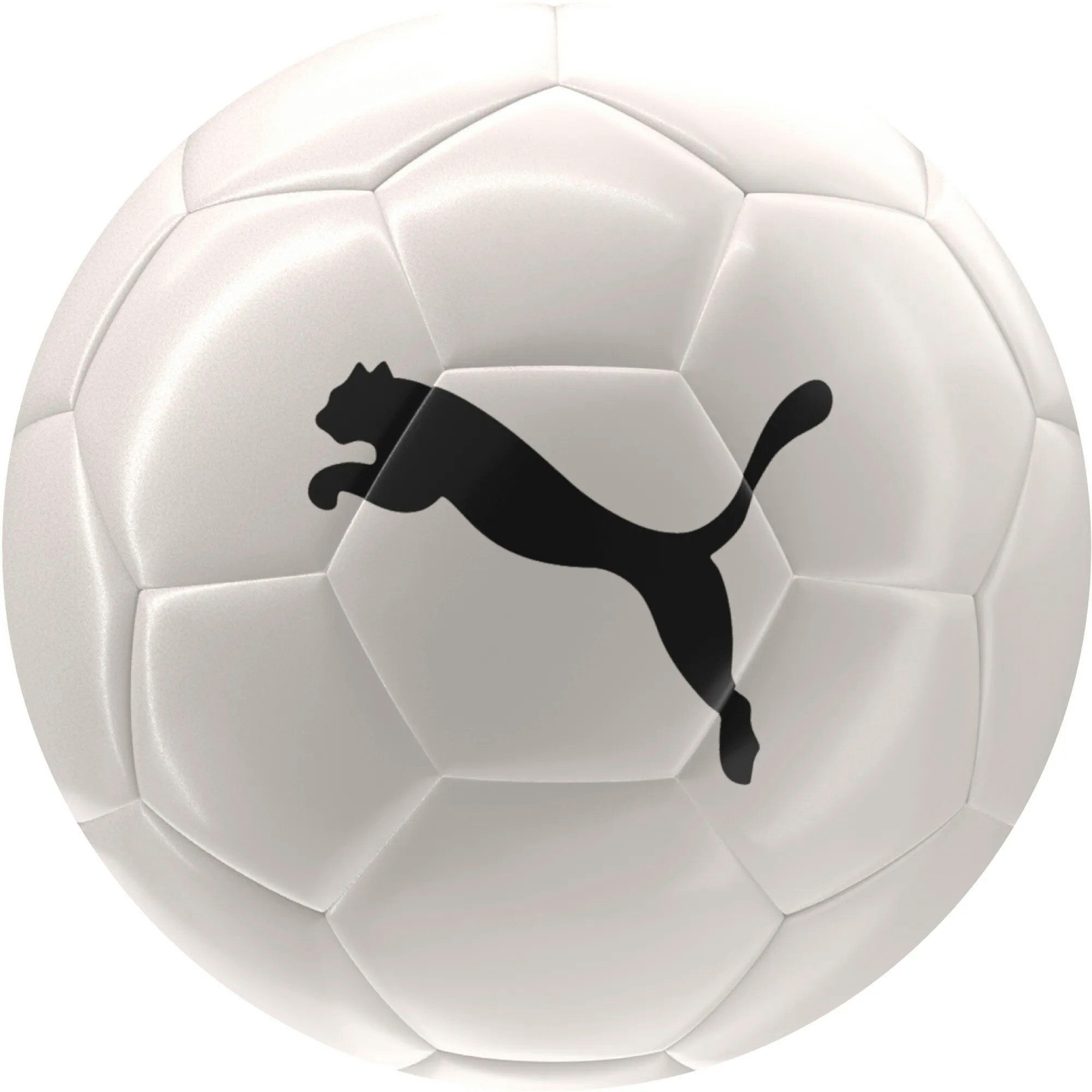 Fußball Puma Fussball PUMA Club Ball 085043