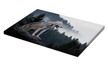 Posterlounge Leinwandbild Editors Choice, Grauer Wolf, Fotografie