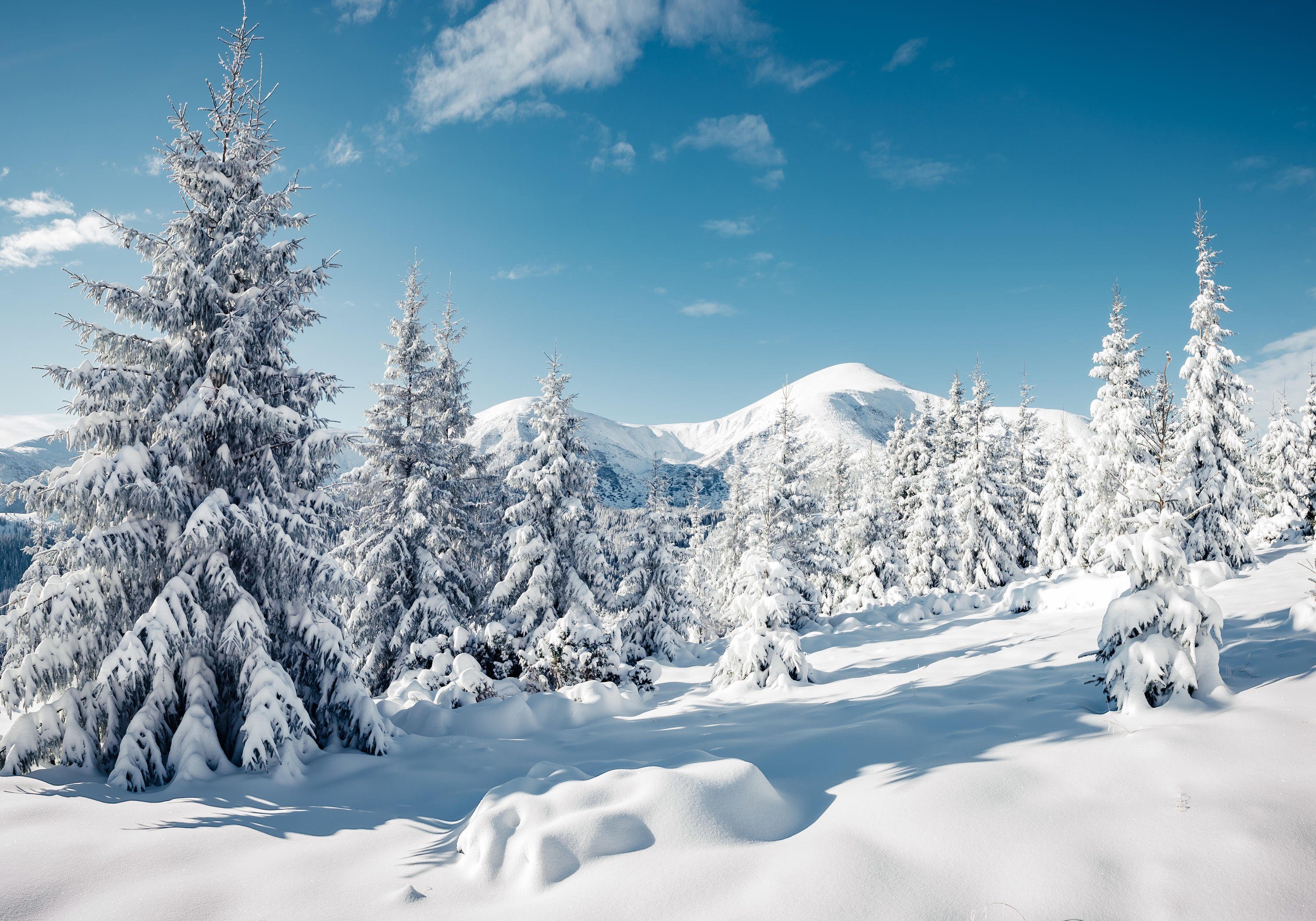 wandmotiv24 Fototapete Berge mit Schnee, glatt, Wandtapete, Motivtapete, matt, Vliestapete