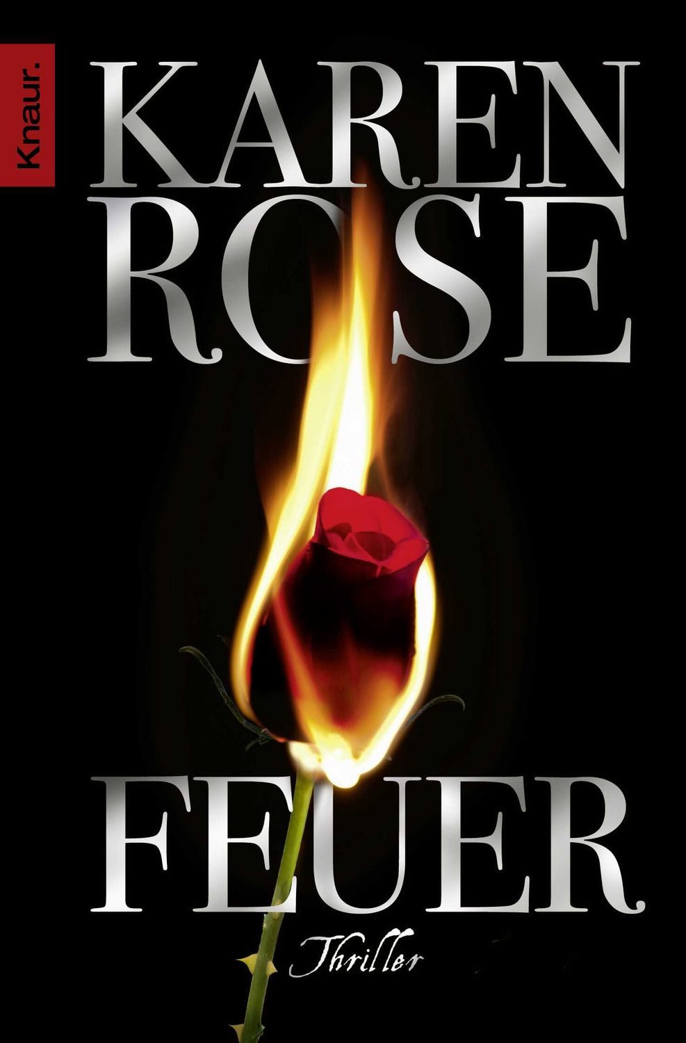 Feuer / Karen Rose