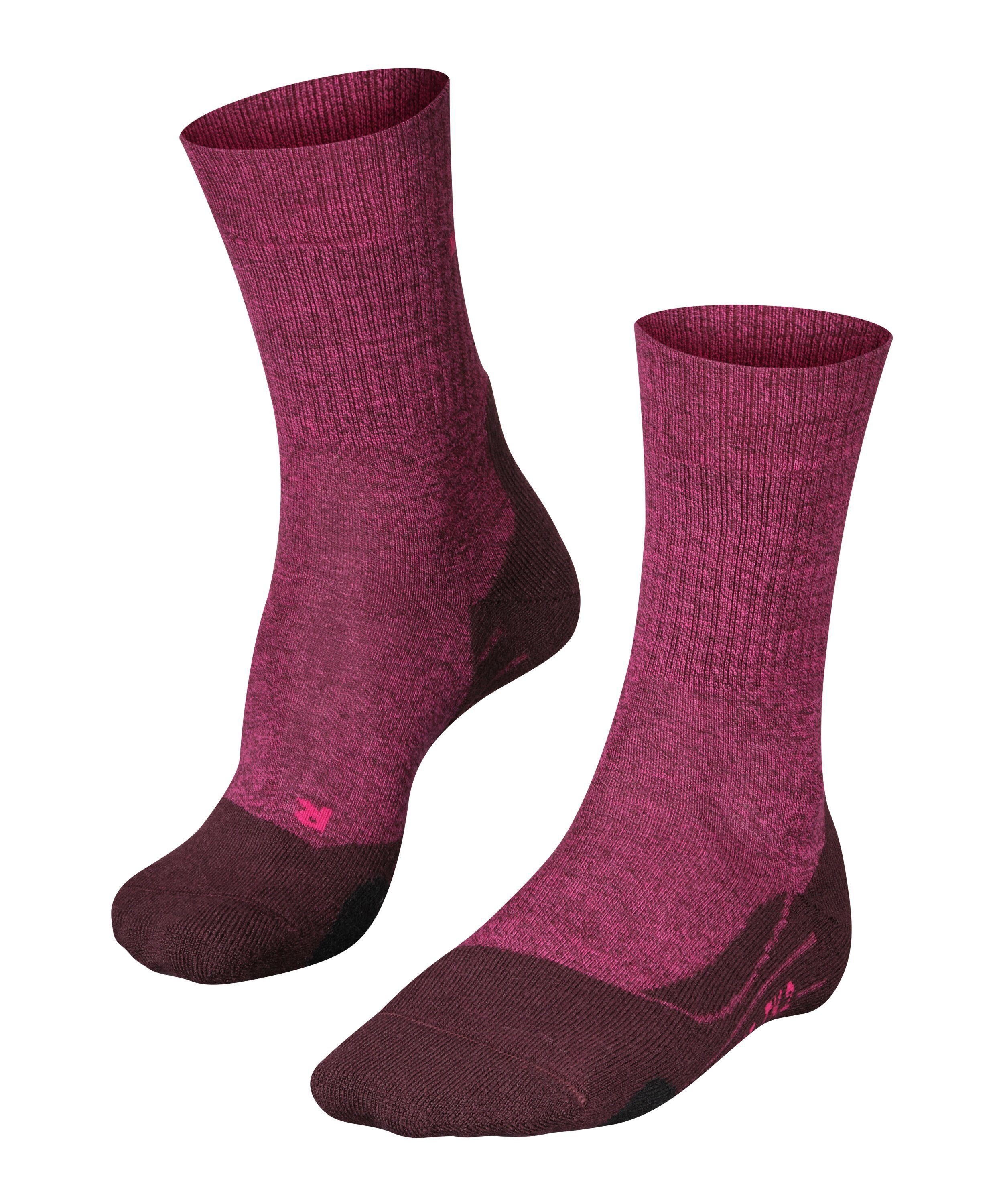 FALKE Wandersocken TK2 Explore Wool (1-Paar) günstig online kaufen