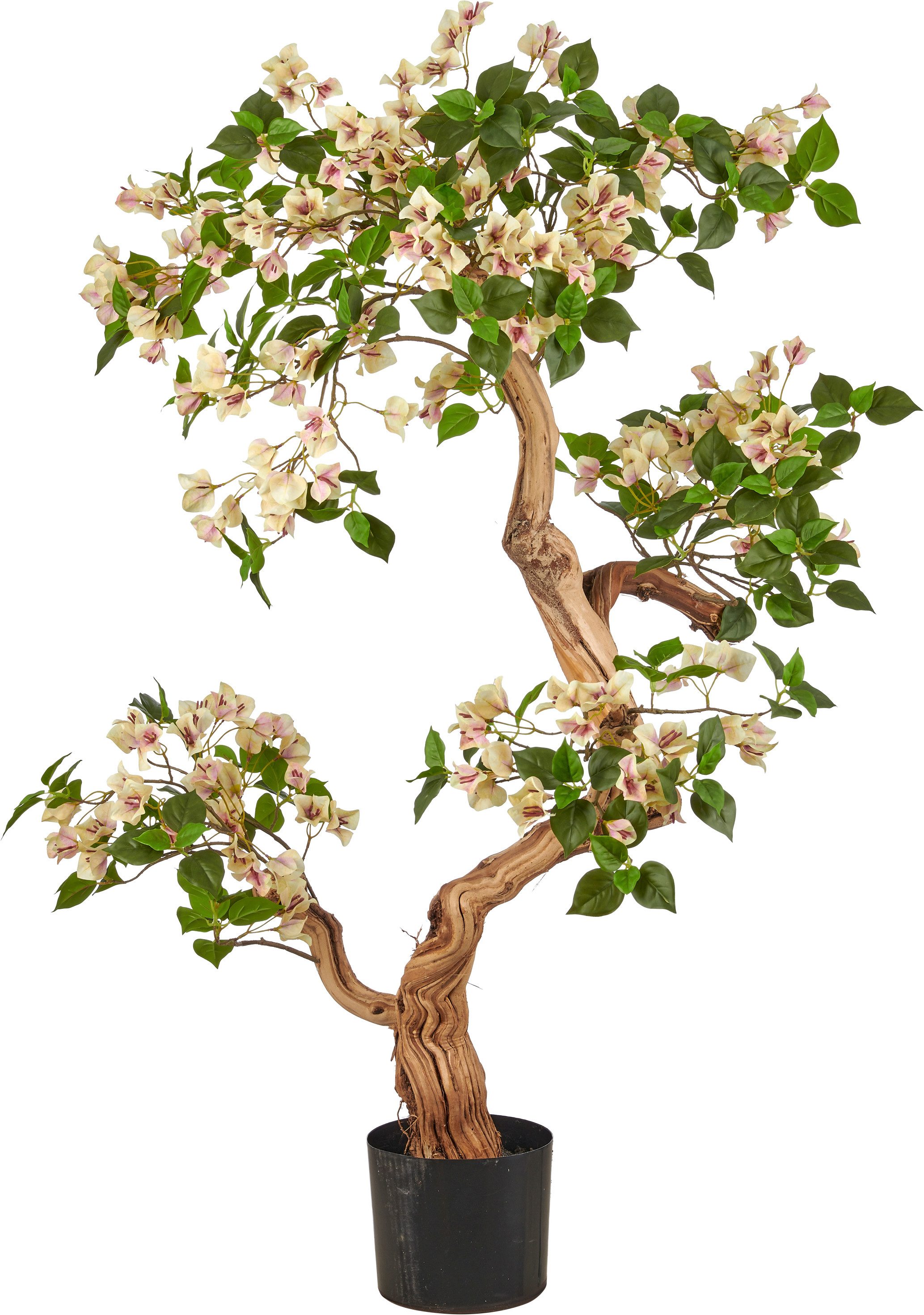 Kunstbaum Bougainvillea, Creativ green, Höhe 130 cm, mit traumhaft schönen Blüten