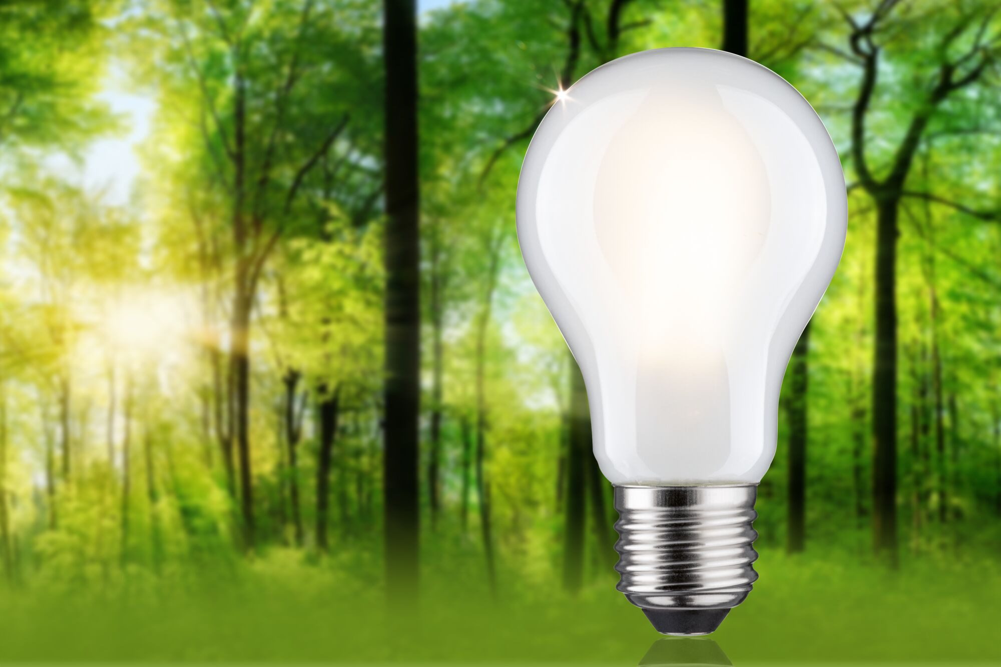 Paulmann LED-Leuchtmittel Eco-Line Filament 230V LED Birne E27 1055lm 5,7W günstig online kaufen