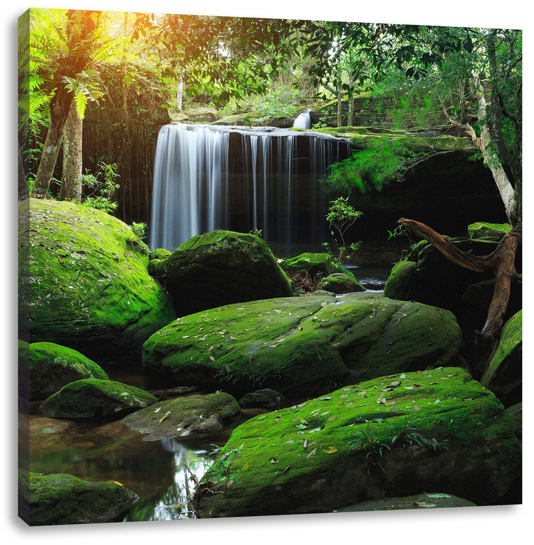 (1 St), inkl. in in Thailand fertig Pixxprint Thailand, bespannt, Zackenaufhänger Leinwandbild Leinwandbild Regenwald Regenwald