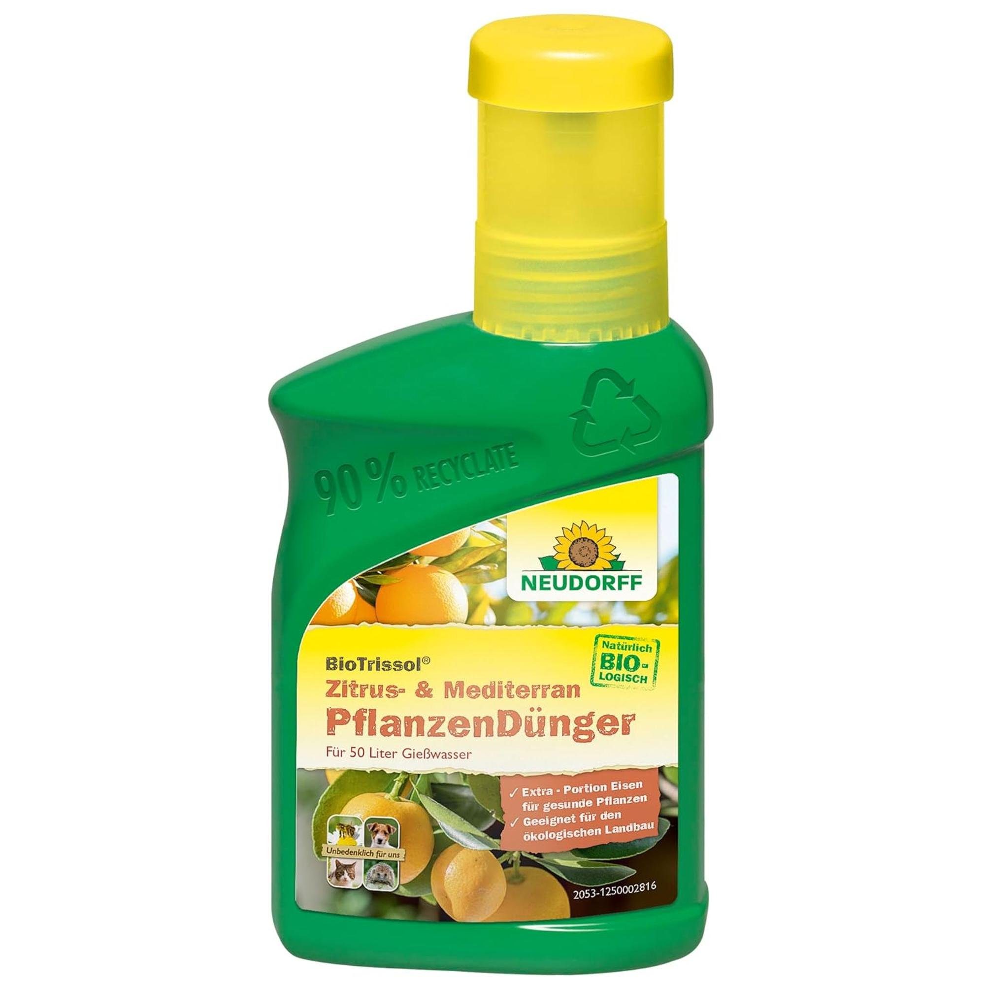 Neudorff Obstdünger BioTrissol Zitrus- & Mediterran PflanzenDünger, 250 ml, mit Extra Eisen sorgt für gesunde und aromatische Früchte