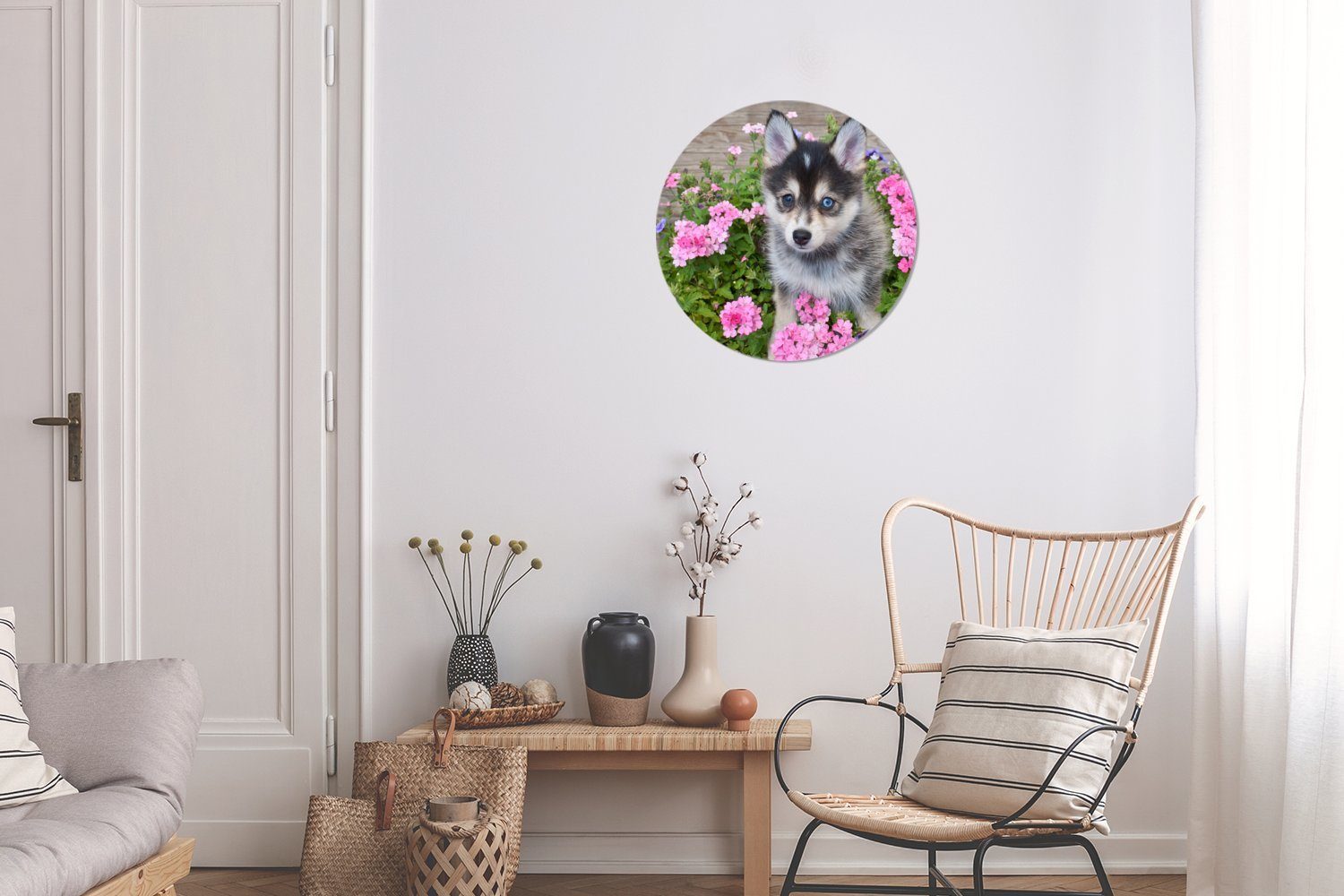 Wanddekoration cm zwischen (1 Wohnzimmer, Pomsky-Welpe Forex, Wandbild, Blumen, 30x30 Gemälde St), Rundes MuchoWow Kreis