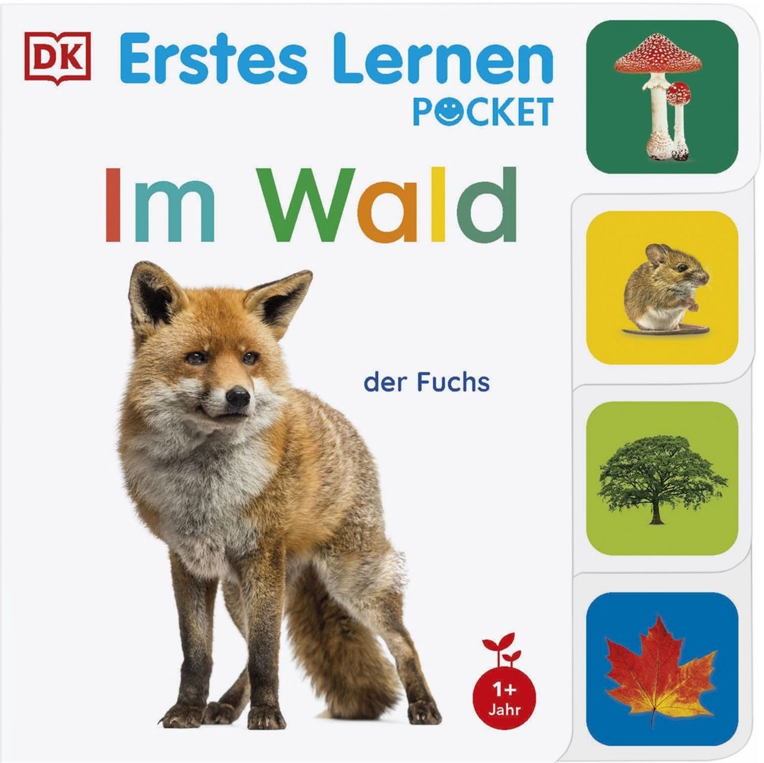 Erstes Lernen Pocket. Im Wald Buntes Pappbilderbuch – klein und leicht / DK Erstes Lernen