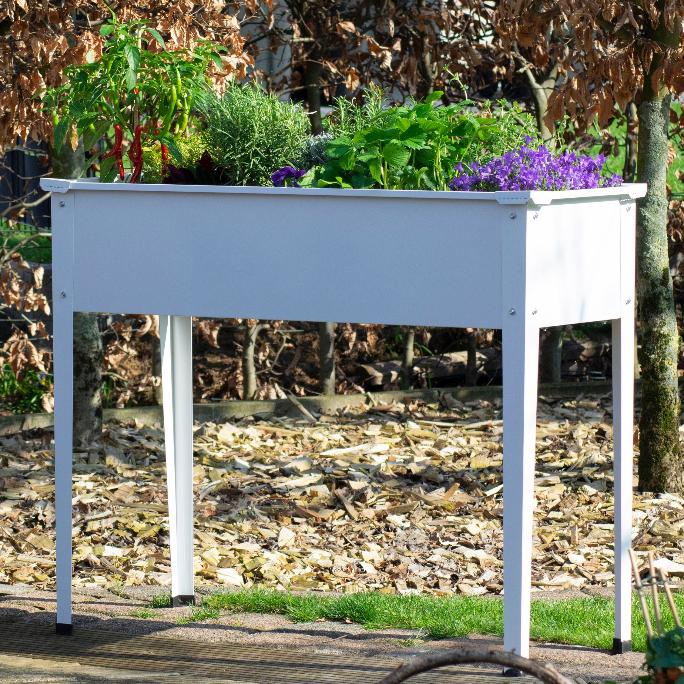 DOBAR Hochbeet »Stalk«, BxTxH 100x40x80 cm kaufen OTTO