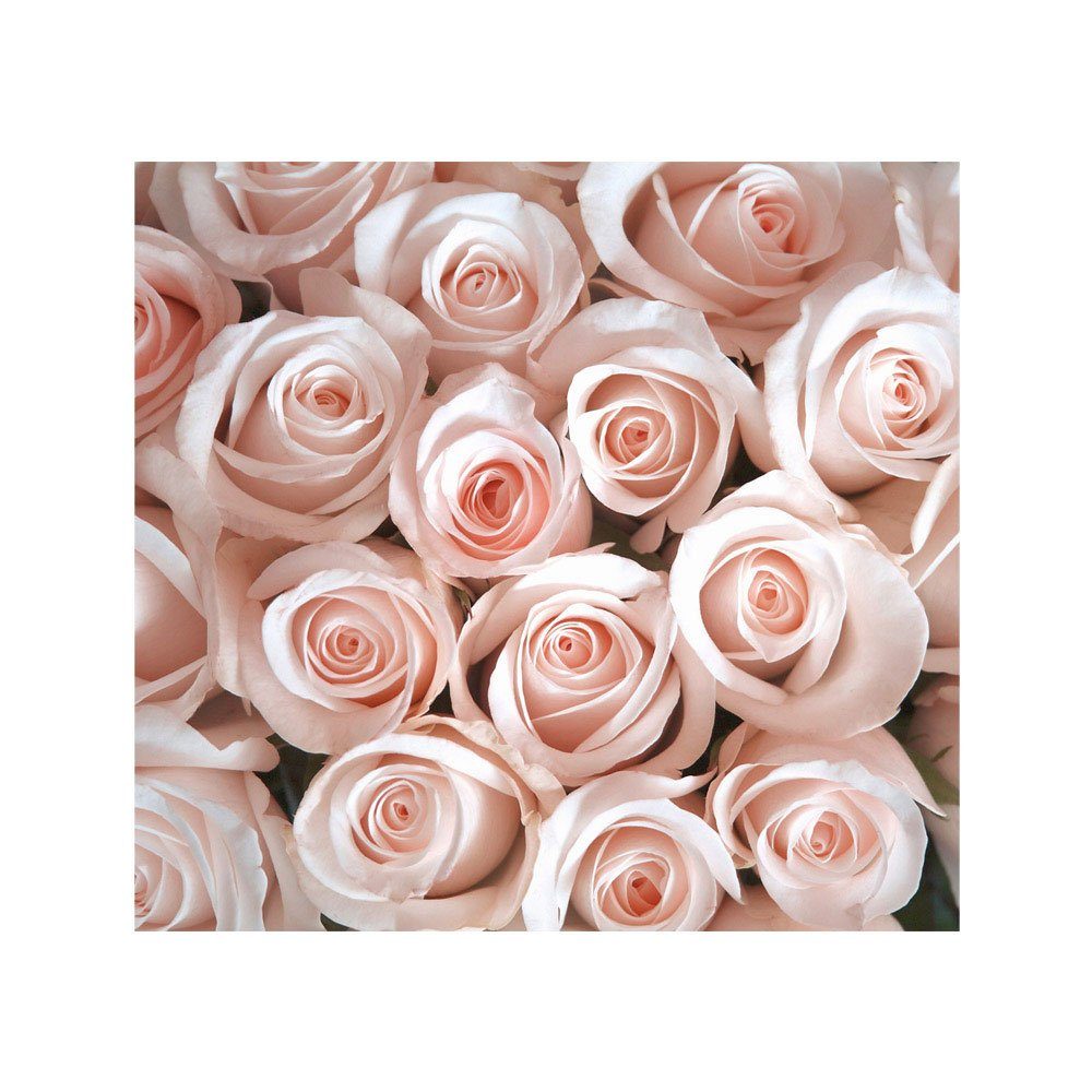 Blüte Rosa Rose no. Fototapete liwwing Fototapete Liebe Blumen Love Natur liwwing Blumen Blüten 185,