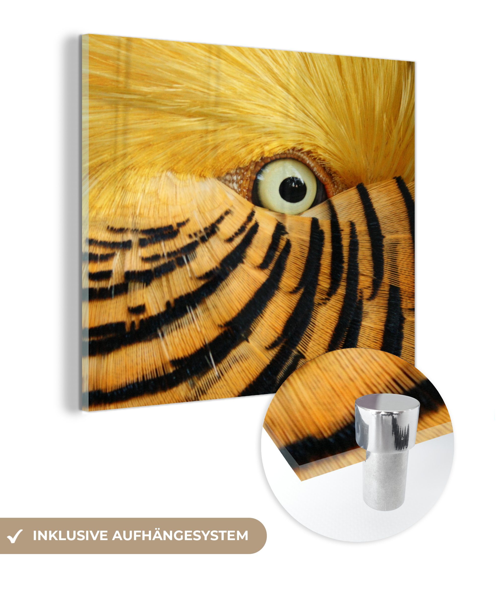 MuchoWow Acrylglasbild Nahaufnahme auf Wandbild Auges Glas - - Wanddekoration Foto - auf Glasbilder mit Bilder gelben eines St), Vogels Glas (1 schwarzen, und Federn des