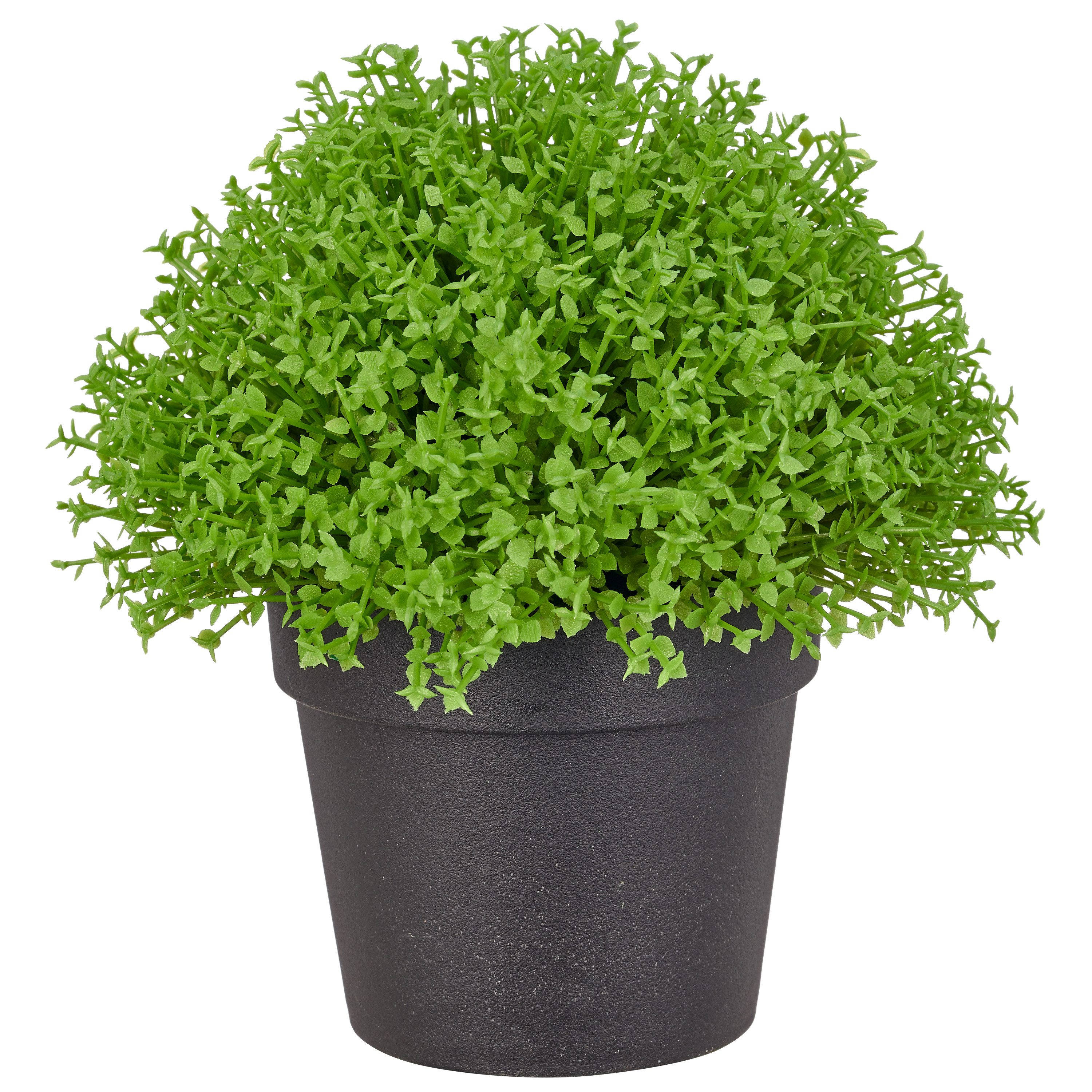 Kunstpflanze Halbkugel Selaginella apoda, Creativ green, Höhe 16 cm, in kompakter Größe