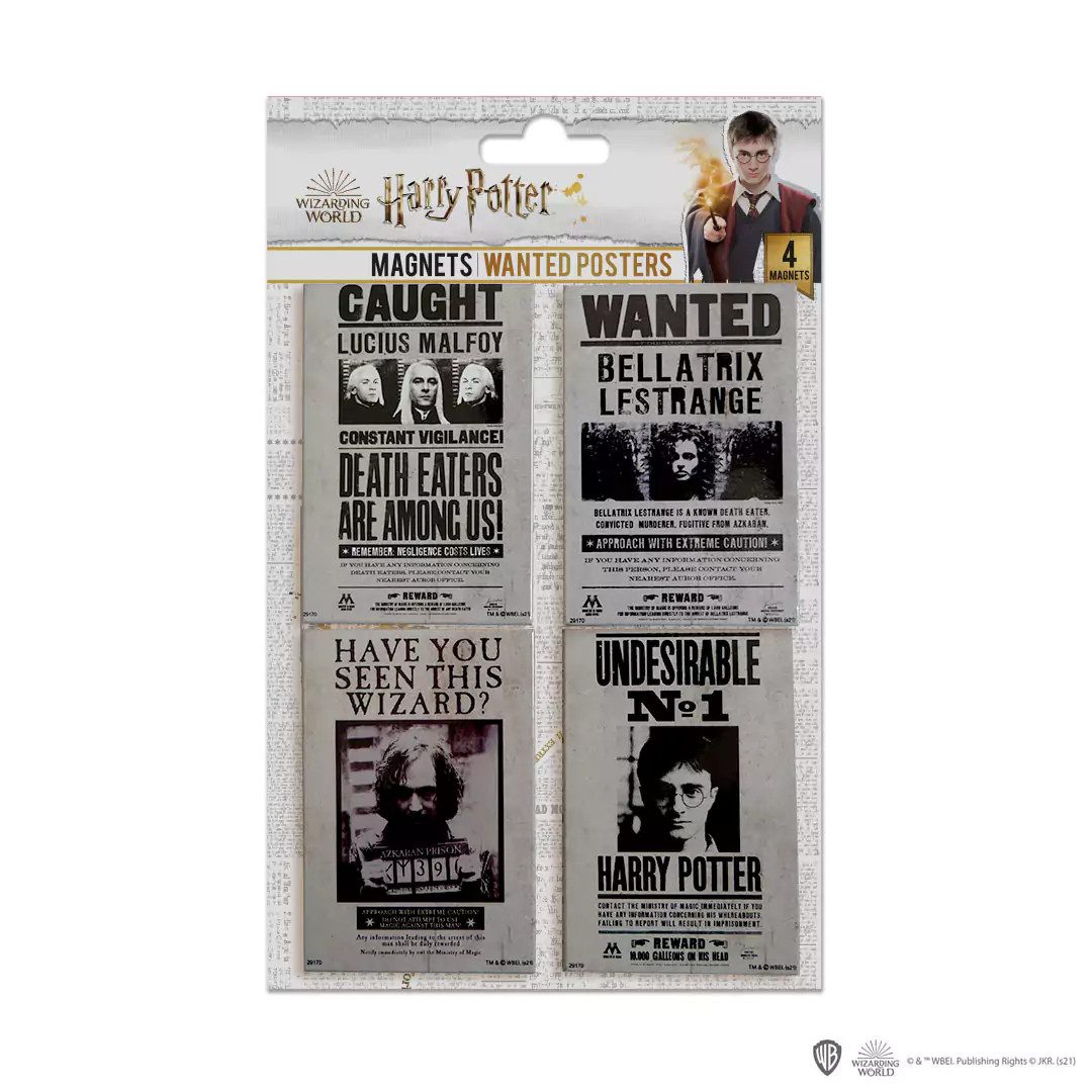 Cinereplicas Magnet Set mit 4 gesuchten Magneten - Harry Potter (4-St)
