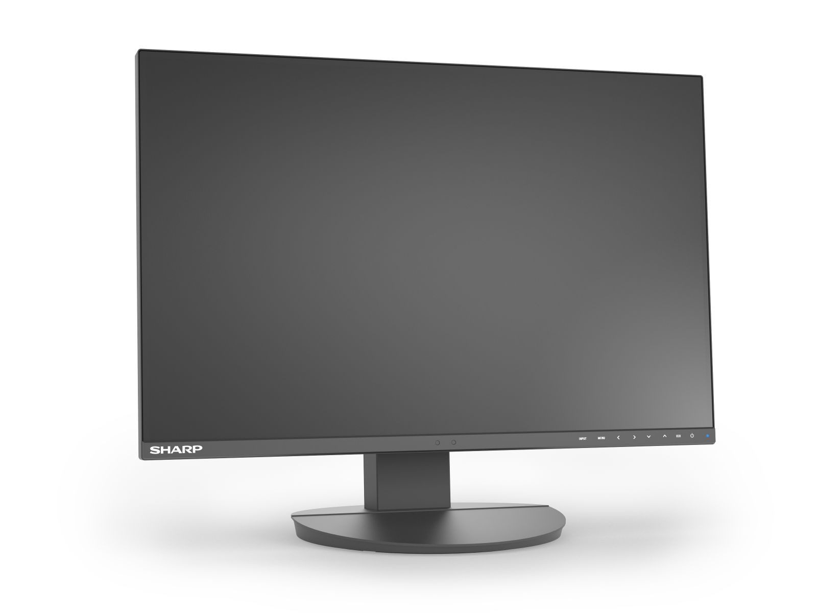 Sharp DD-EA242W BLACK 24IN IPS 1920X1200 16:10 300CD TFT-Monitor (1920 x 1200 px, Full HD, 5 ms Reaktionszeit, 60 Hz, IPS, Lautsprecher, Pivot, Höhenverstellbar)