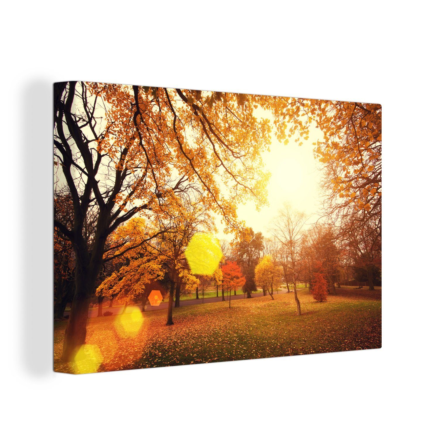 OneMillionCanvasses® Leinwandbild Park mit Bäumen im Herbst, (1 St), Wandbild Leinwandbilder, Aufhängefertig, Wanddeko, 30x20 cm