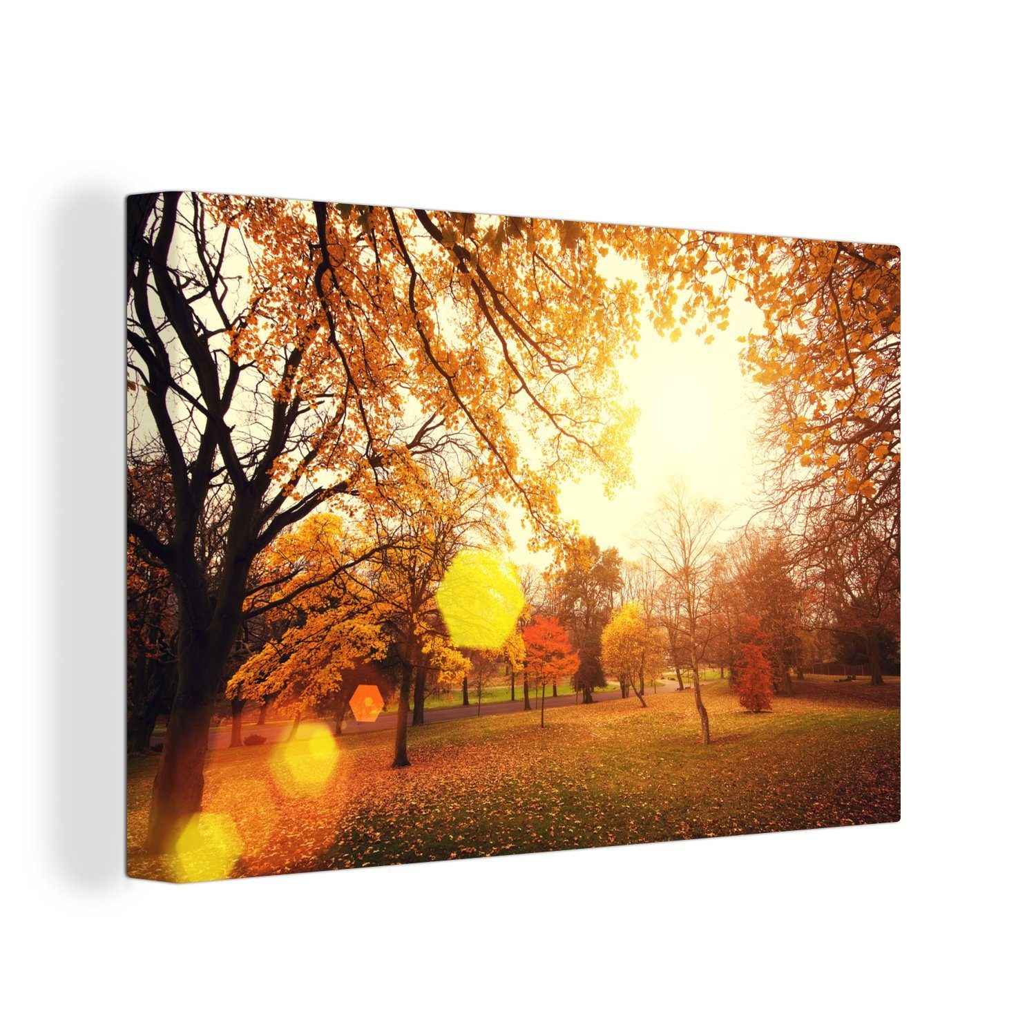 OneMillionCanvasses® cm Aufhängefertig, Wandbild Park Wanddeko, Herbst, Leinwandbilder, mit St), Bäumen im 30x20 Leinwandbild (1