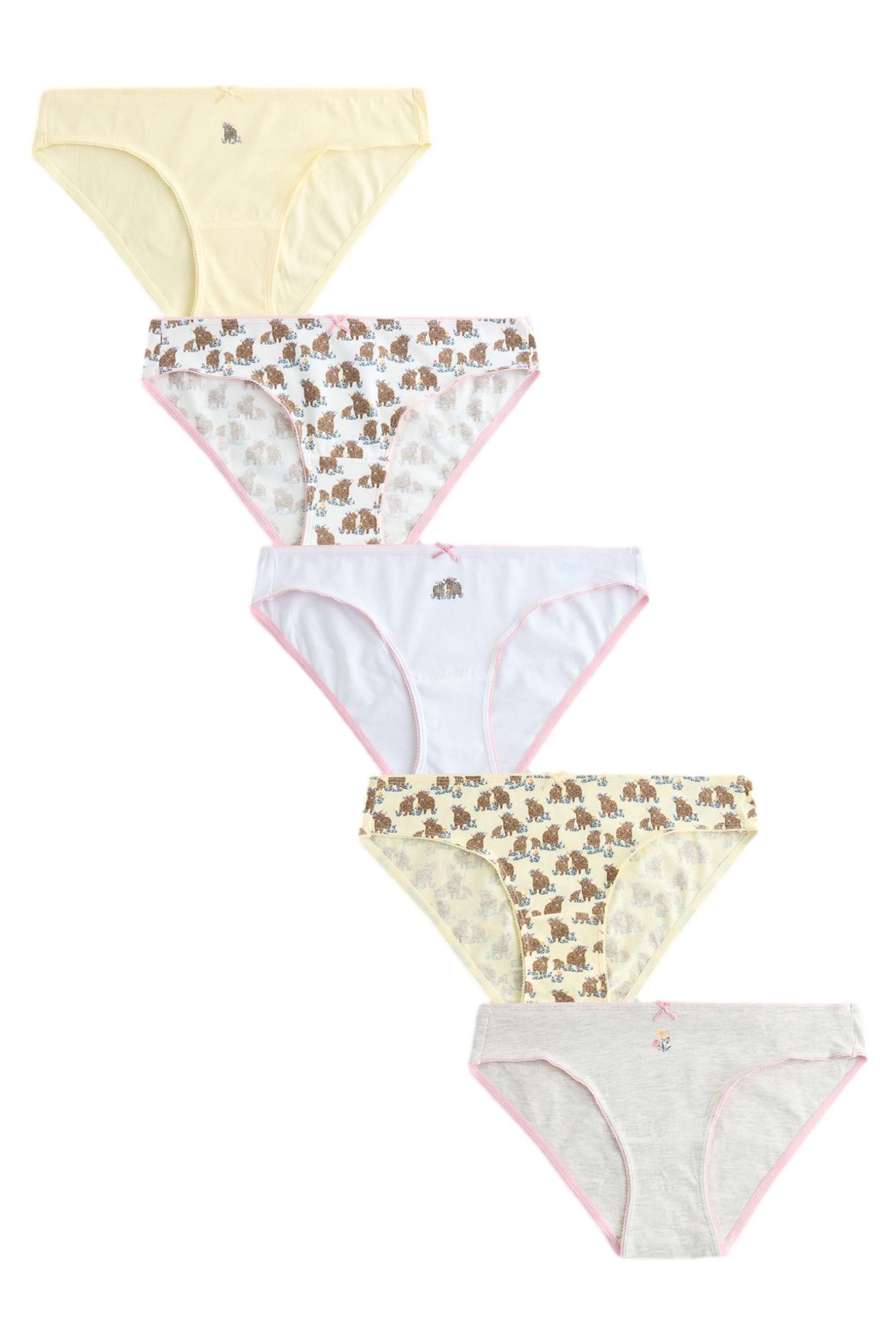Next Bikinislip Slips im 5er-Pack, Bikini (5-St)