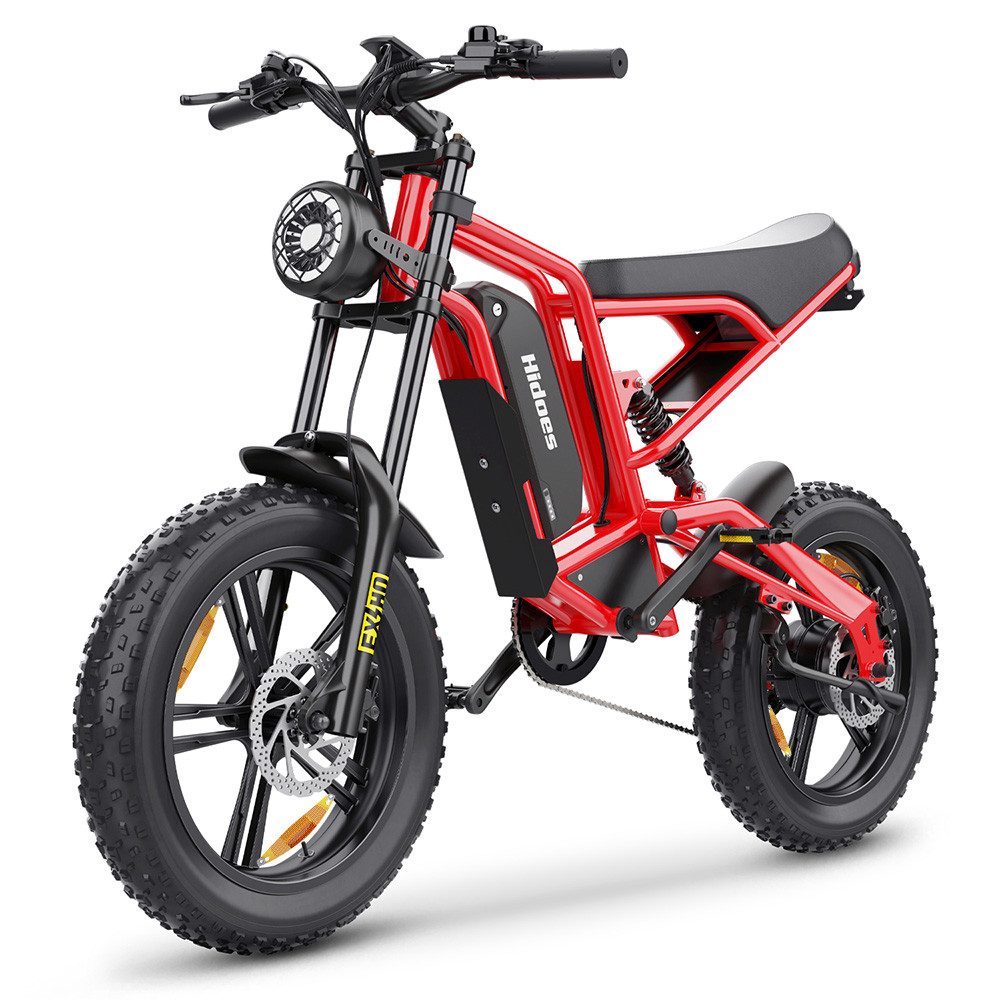 Vankel E-Bike 48V 15.6Ah 748.8Wh 100km Reichweite 20x4,0Reifen 5Gang Farbdisplay, Heckmotor, 748,8 Wh