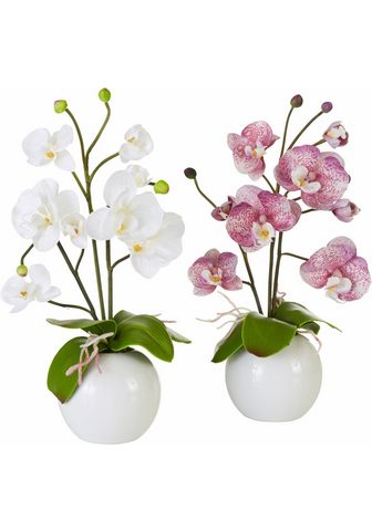 HOME AFFAIRE Искусственное растение »Orchidee...