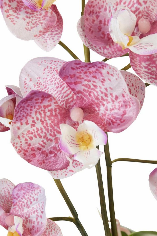 Kunstpflanze »Orchidee« Orchidee, I.GE.A., Höhe 35 cm-kaufen