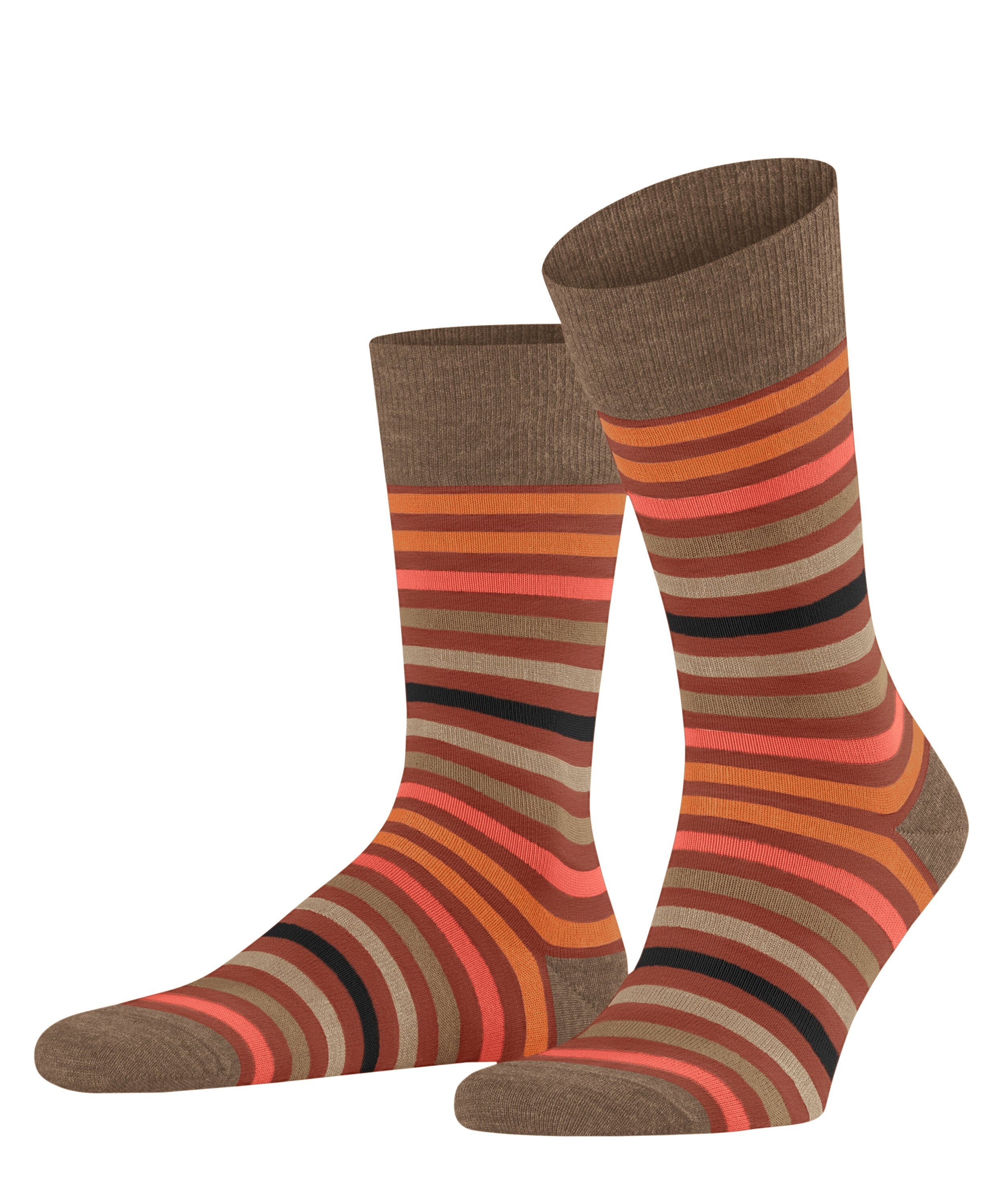FALKE Socken FALKE Tinted Stripe Herren (1-Paar) mit merzerisierter Baumwolle