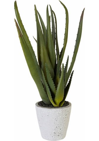  Искусственное растение »Aloe&laq...