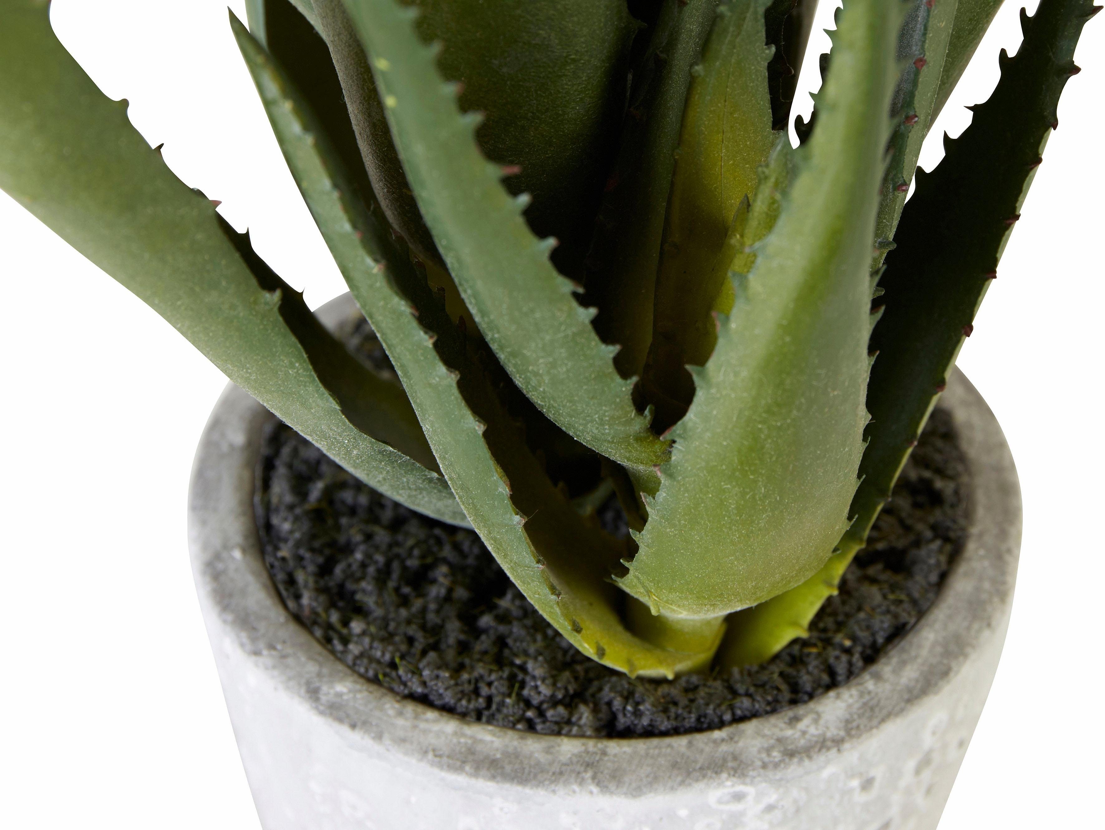 Kunstpflanze »Aloe«, Creativ green, Höhe 44 cm-HomeTrends