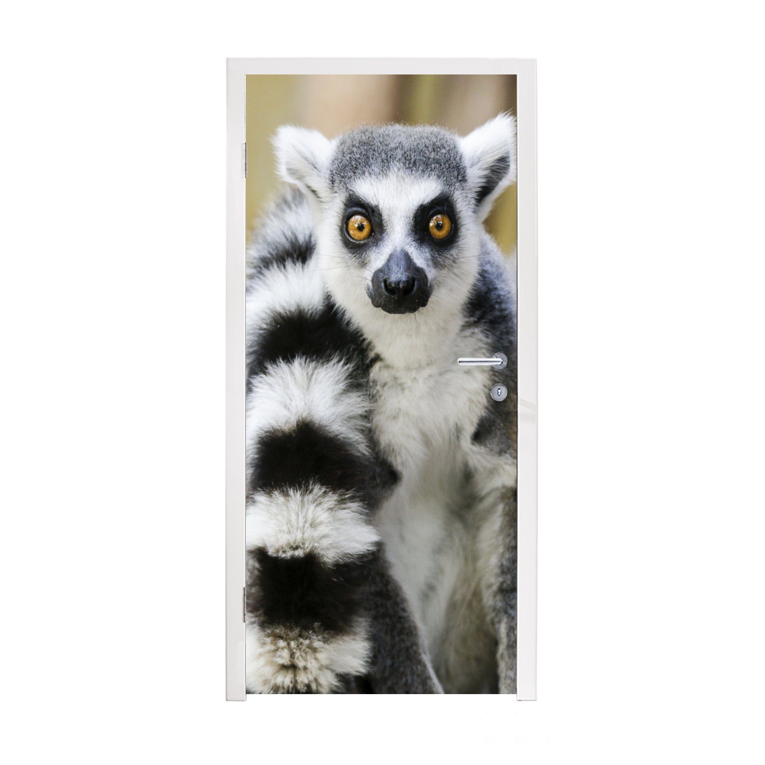 MuchoWow Türtapete Affe - Ringschwanzlemur - Tier, Matt, bedruckt, (1 St), Fototapete für Tür, Türaufkleber, 75x205 cm