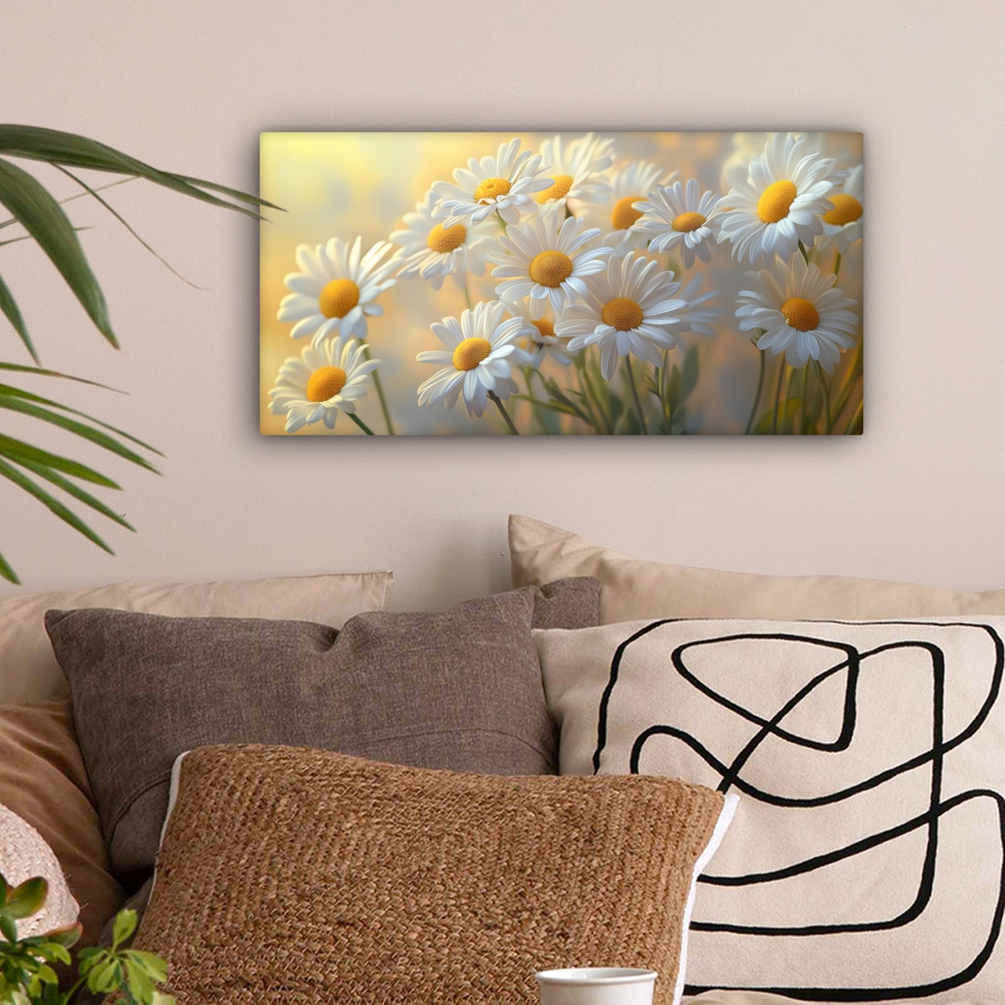 OneMillionCanvasses® Leinwandbild Panorama Gänseblümchen - Weiß günstig online kaufen