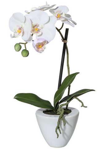 GASPER Искусственное растение »Orchidee...