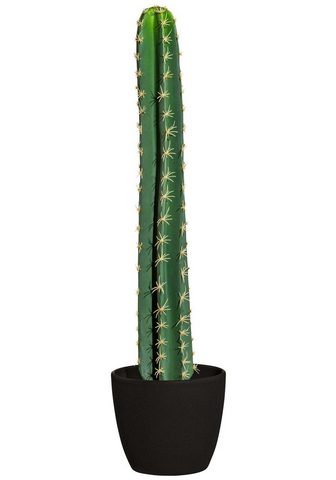 GASPER Искусственное растение »Kaktus&l...