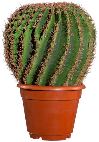 GASPER Искусственное растение »Kaktus E...