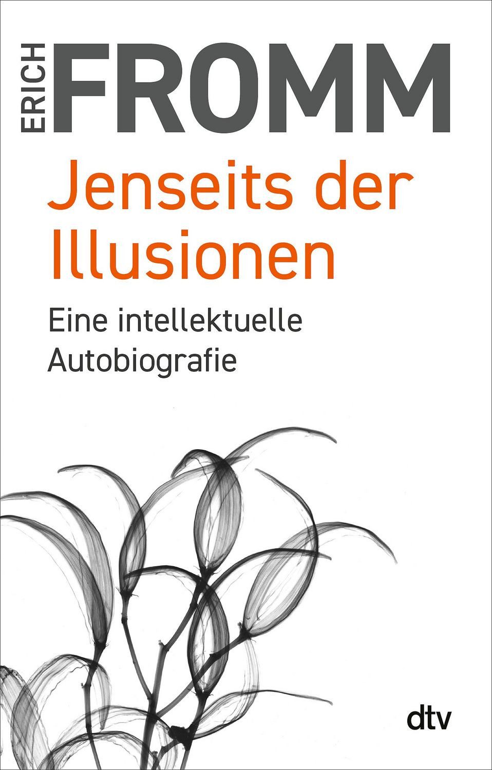 Jenseits der Illusionen / Erich Fromm