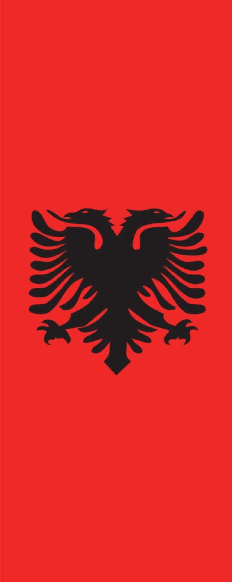 Flagge Hochformat 110 g/m² Albanien flaggenmeer Flagge