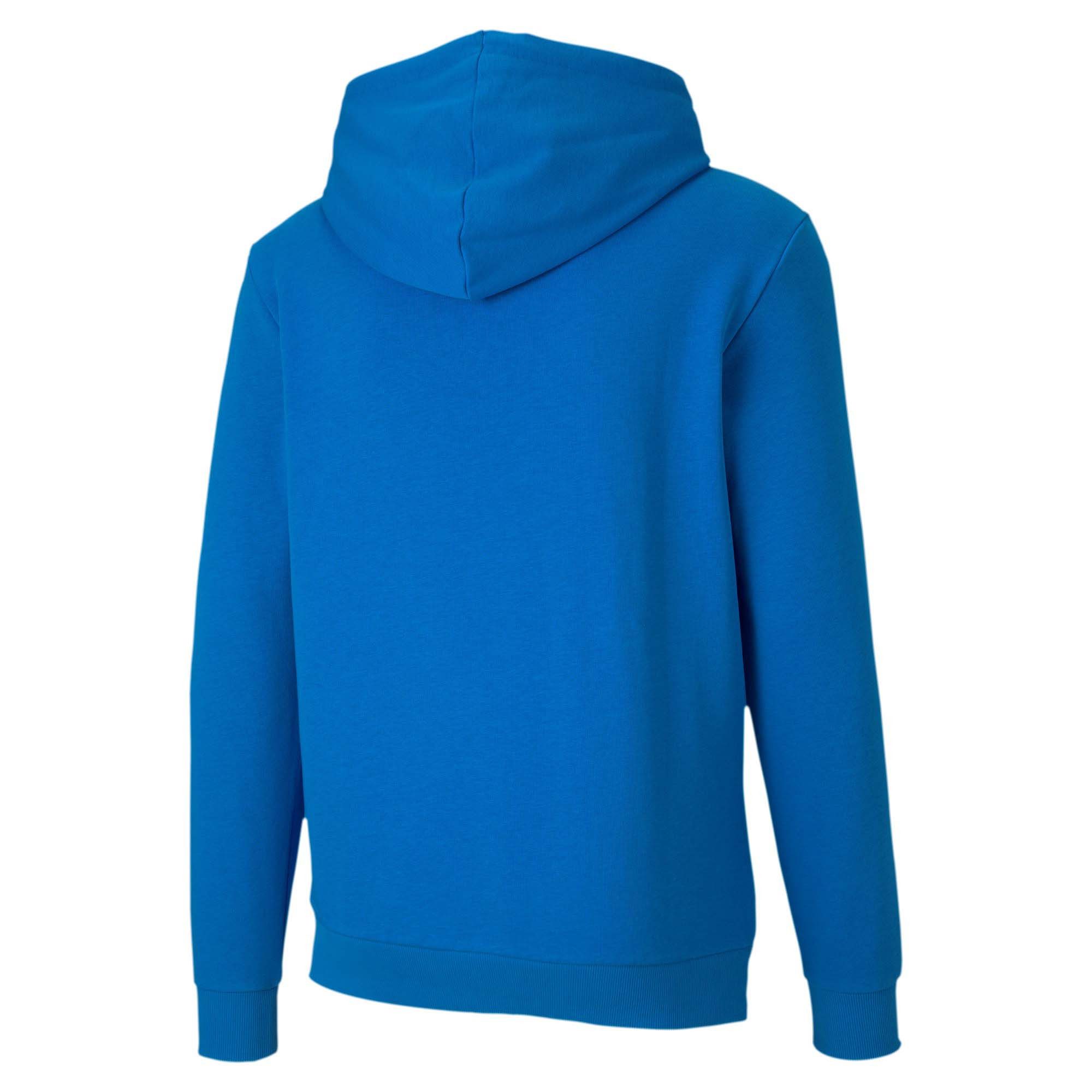PUMA Kapuzenpullover Puma Herren Kapuzenpullover teamGOAL günstig online kaufen