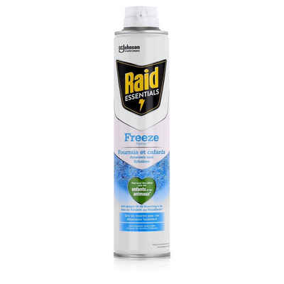 Raid Insektenfalle Raid Essentials Freeze Spray 350ml - Lässt Insekten erstarren (1er Pac
