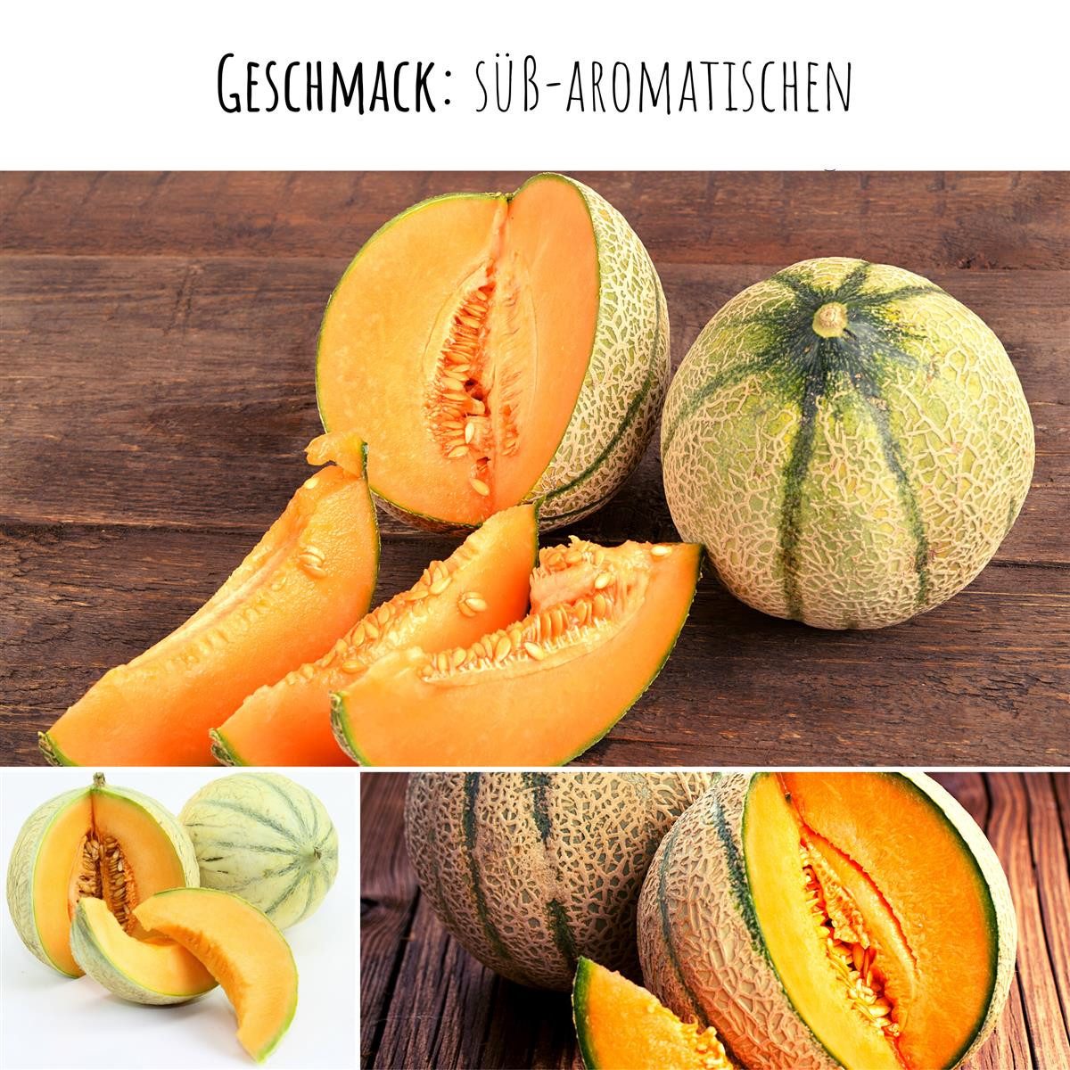 HappySeed Blumensamen Zuckermelone Samen - Cucurbita melo, Obst – Bild 4 von 5