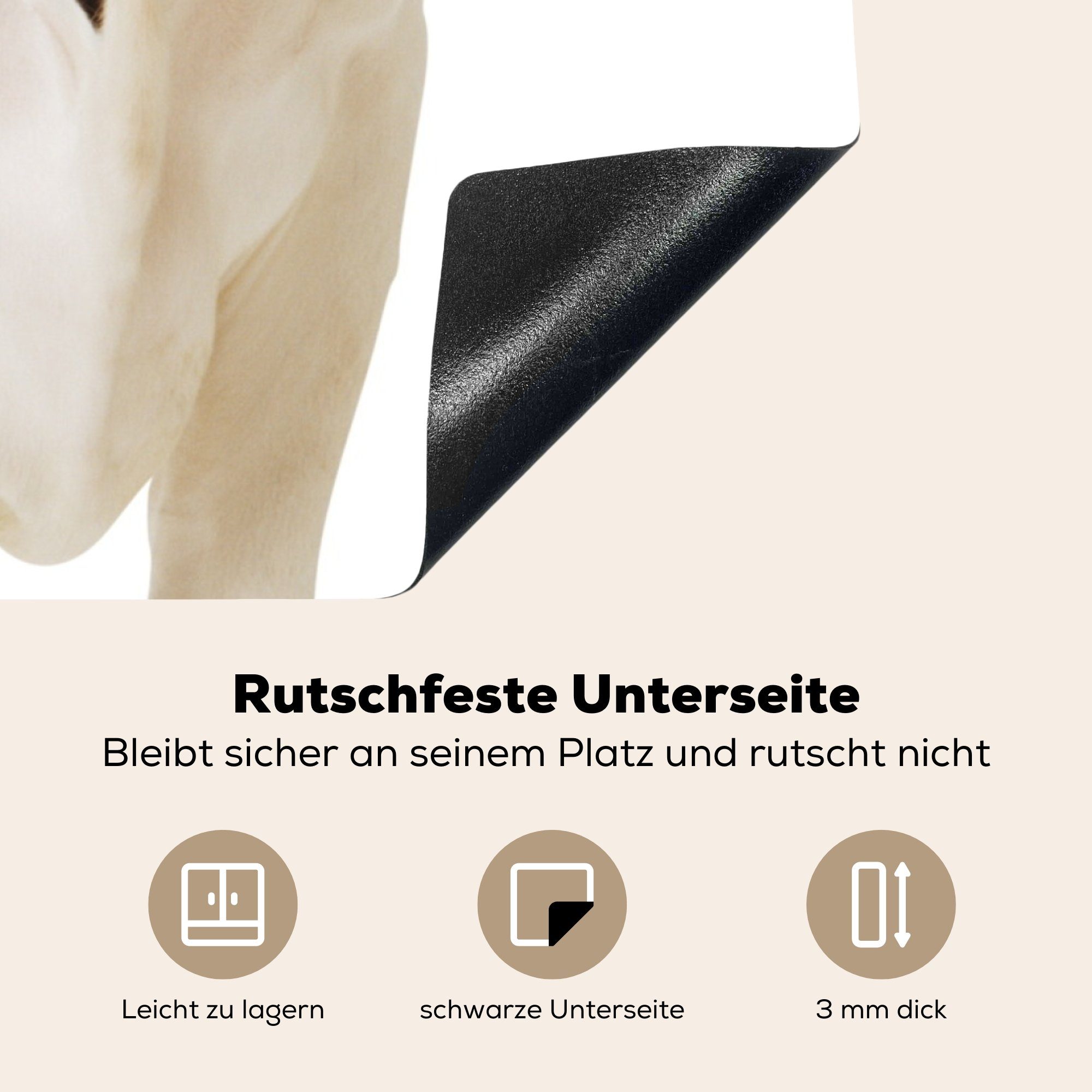 78x78 Weiß Tiere, Vinyl, (1 Arbeitsplatte Ceranfeldabdeckung, tlg), - Schwarz für - MuchoWow cm, Herdblende-/Abdeckplatte küche Kuh -