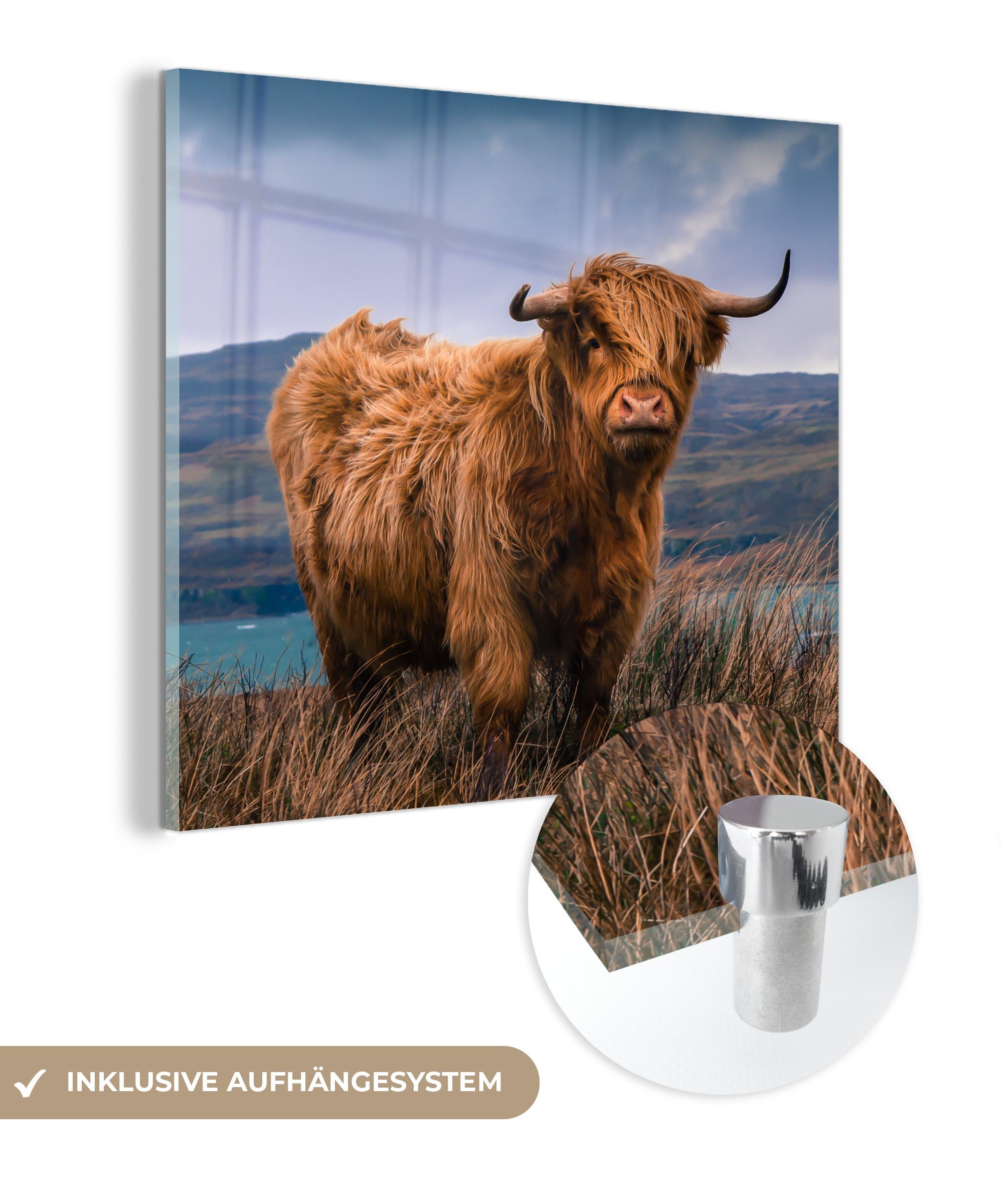 MuchoWow Acrylglasbild Schottische Highlander - Himmel - Natur, (1 St), Glasbilder - Bilder auf Glas Wandbild - Foto auf Glas - Wanddekoration bunt