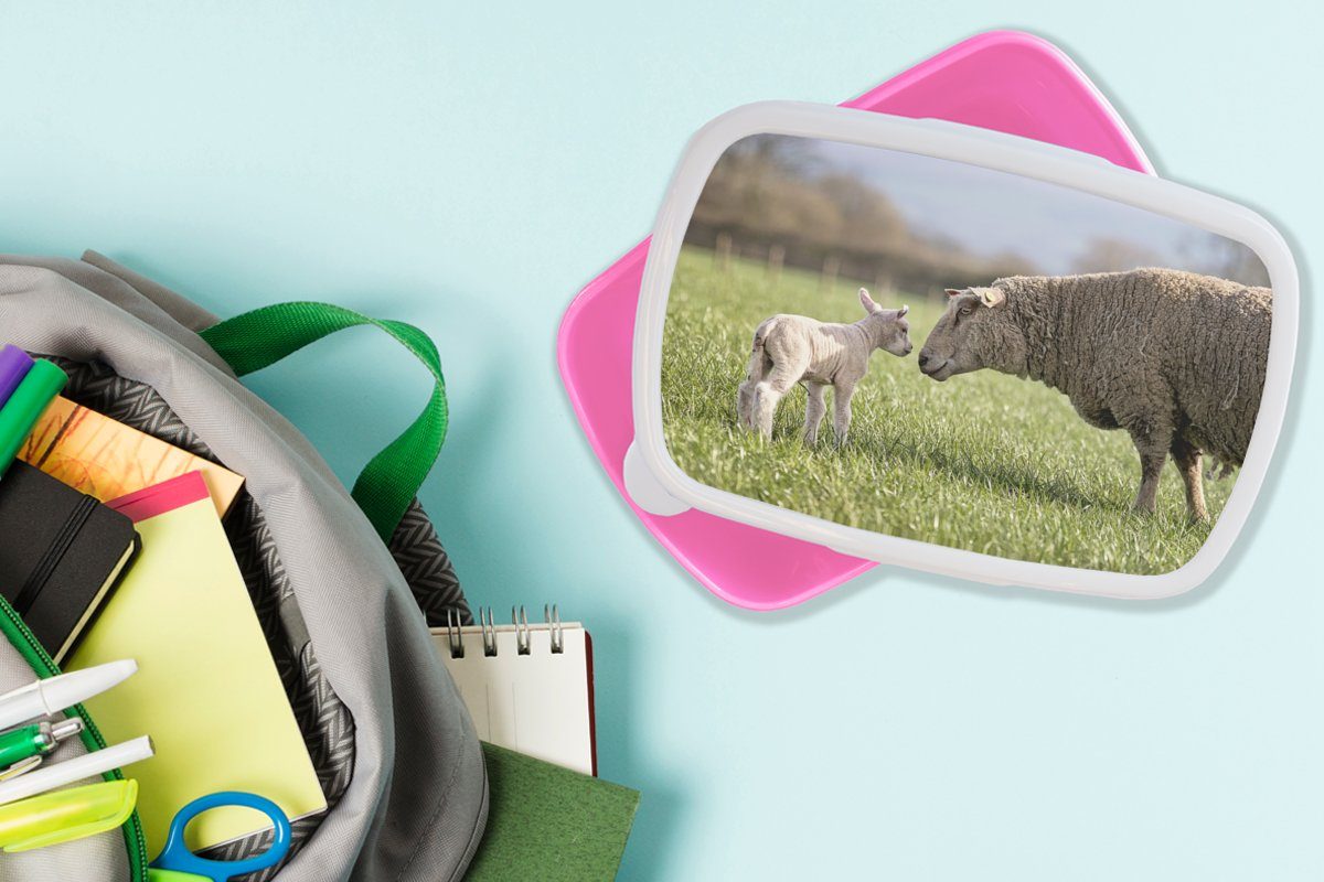 Snackbox, - Mädchen, Kunststoff, für - Kinder, Schafe MuchoWow Erwachsene, rosa Kunststoff Frühling, Brotdose (2-tlg), Lunchbox Brotbox Gras